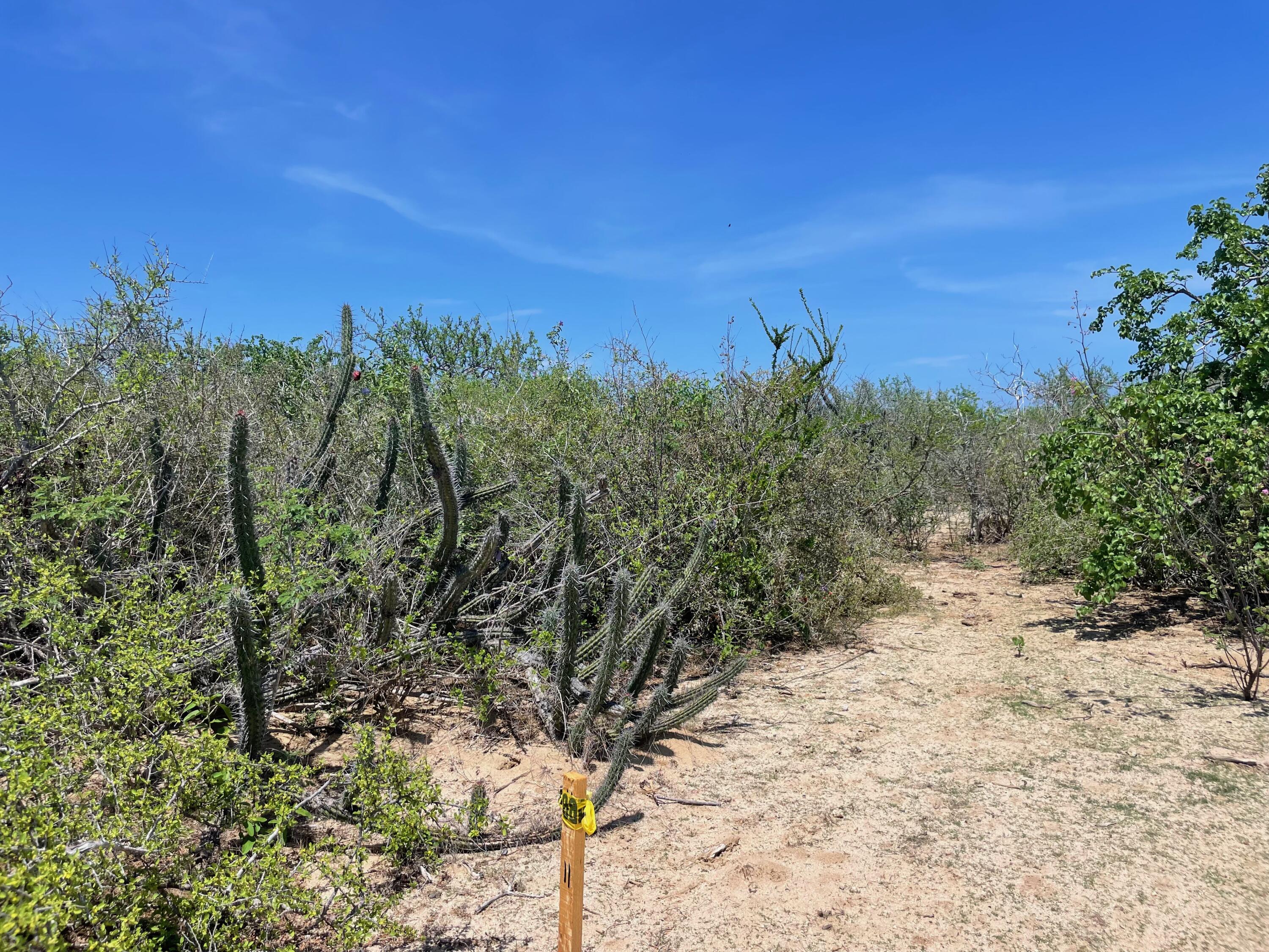 Punta Perfecta Oeste Lot VI-5