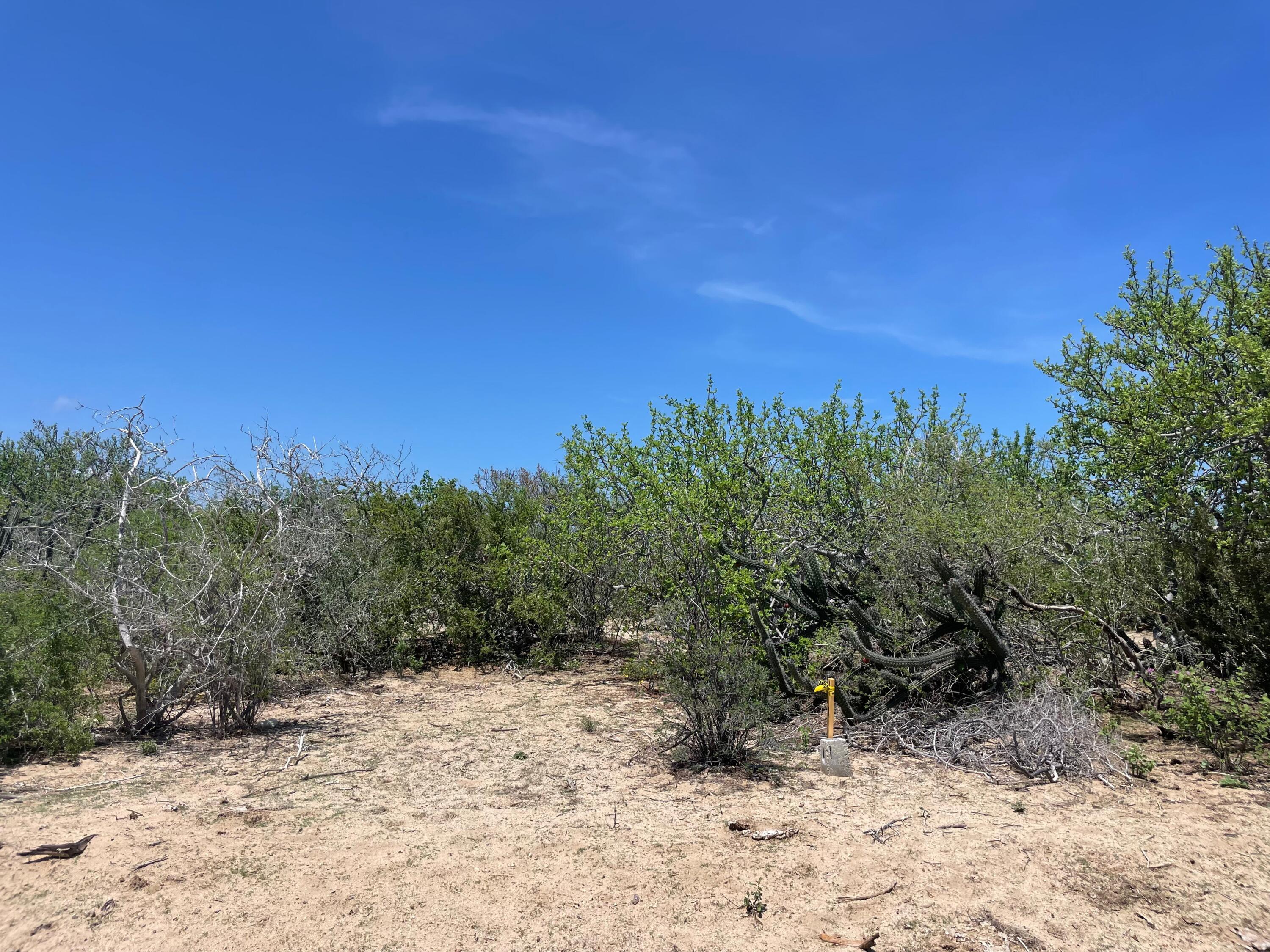 Punta Perfecta Oeste Lot VI-5
