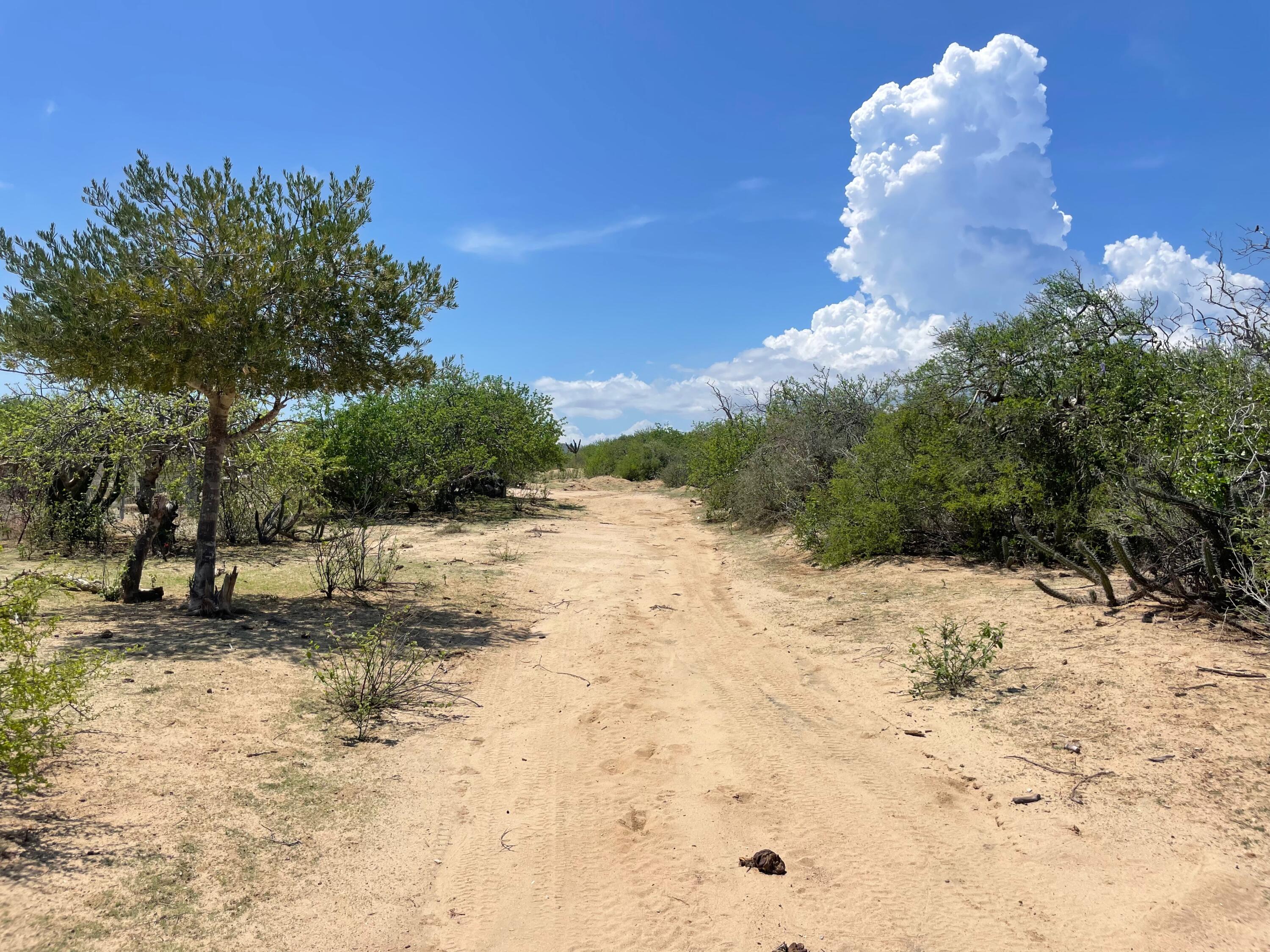 Punta Perfecta Oeste Lote VI-8