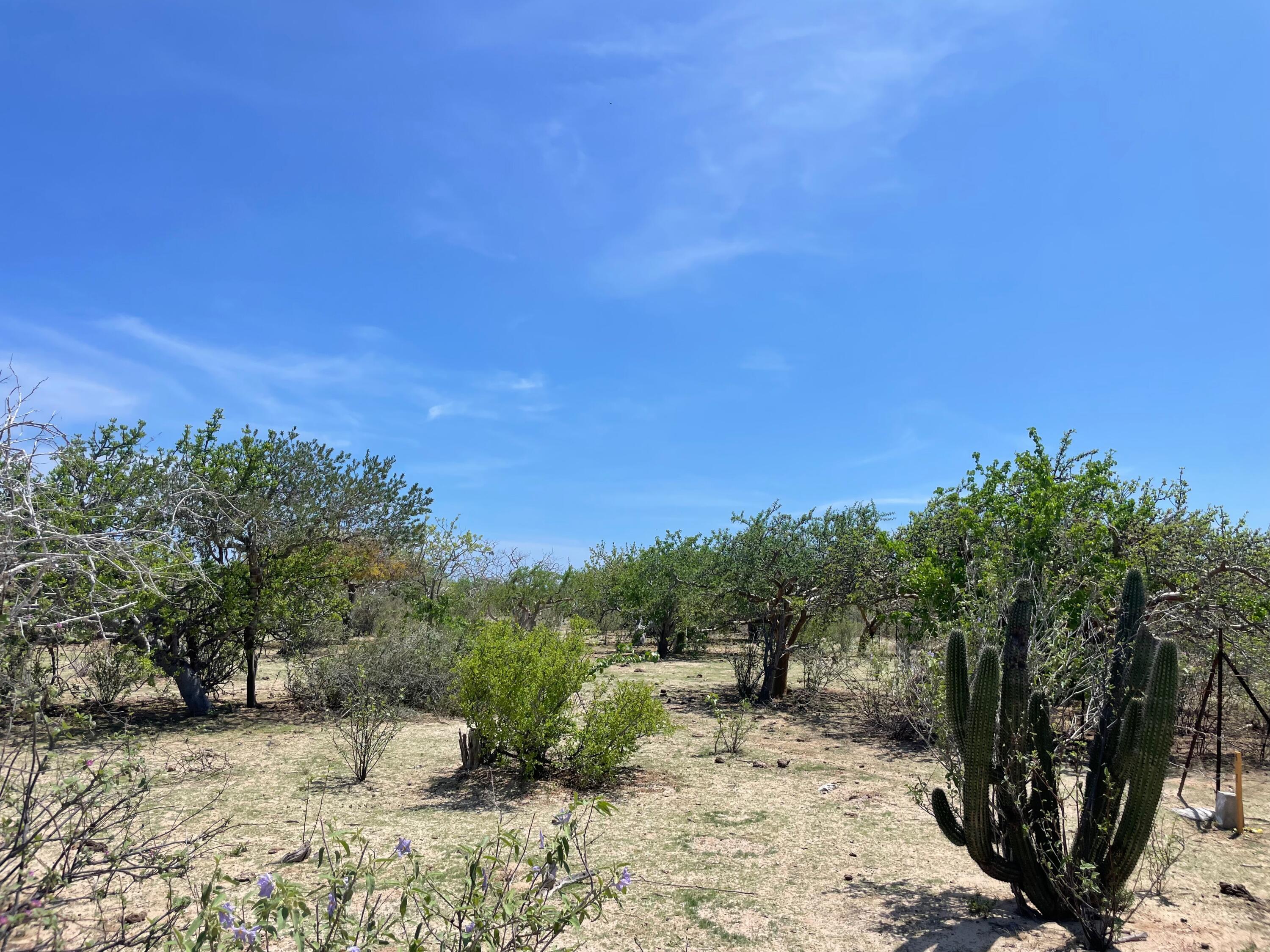 Punta Perfecta Oeste Lote VI-8