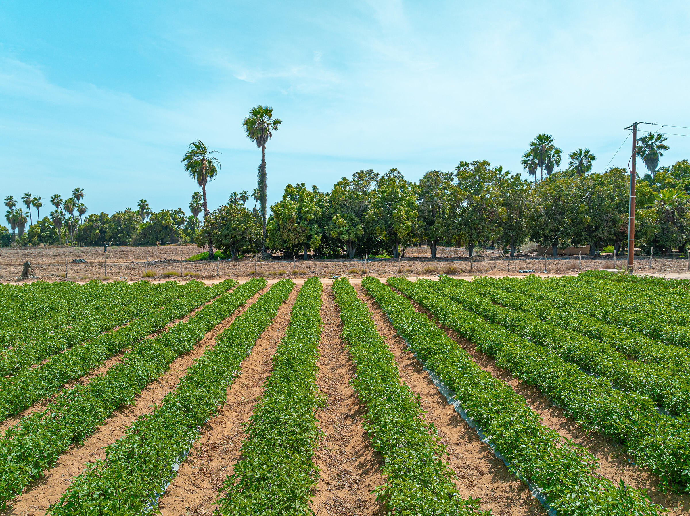 Rancho Sol y Cielo