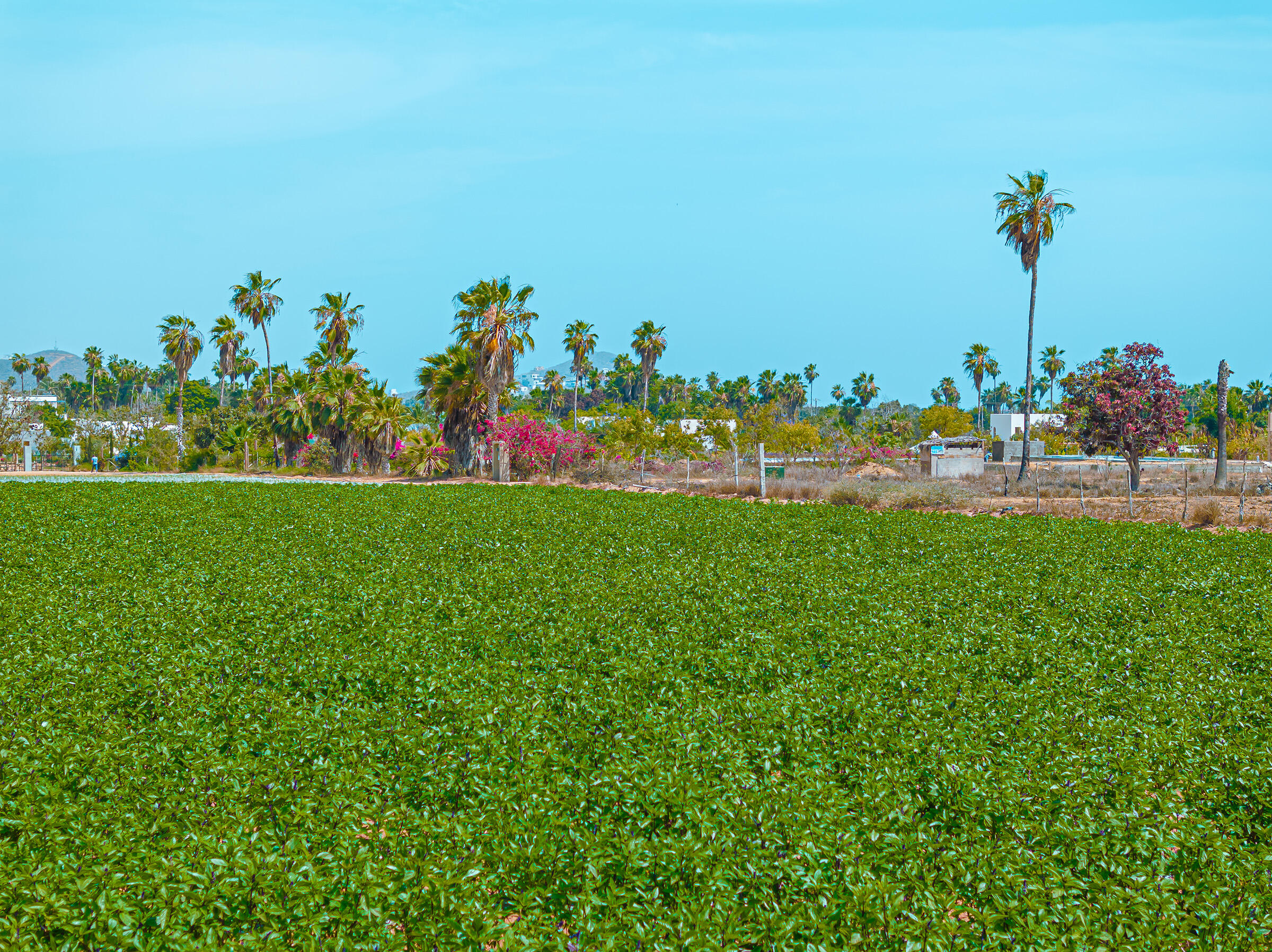 Rancho Sol y Cielo