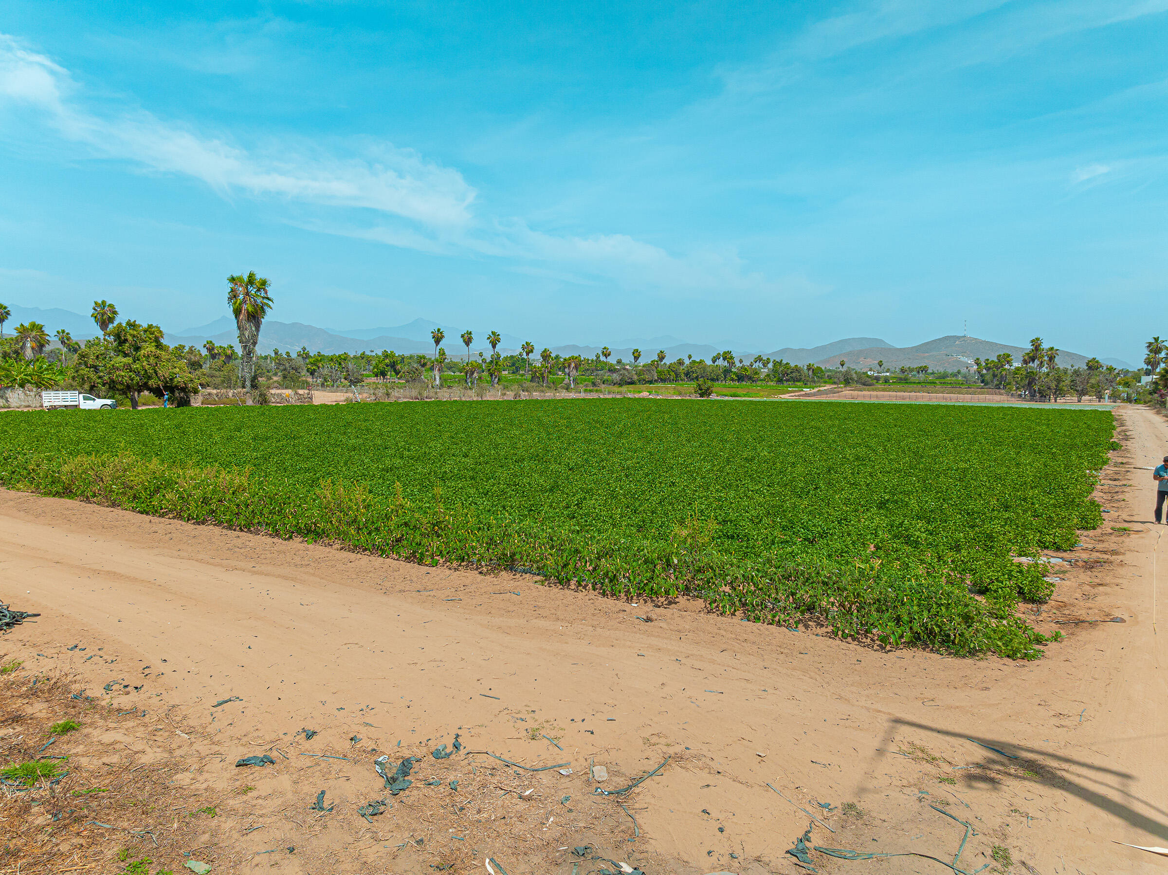 Rancho Sol y Cielo Lots D/E/F