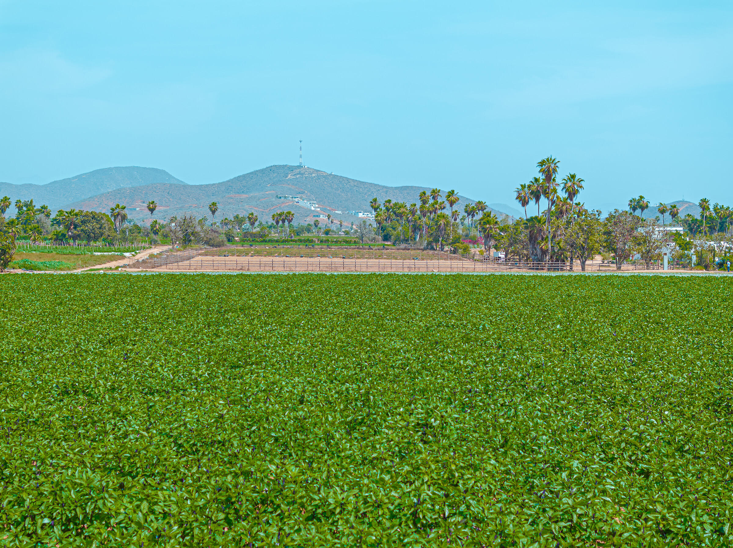 Rancho Sol y Cielo Lots D/E/F