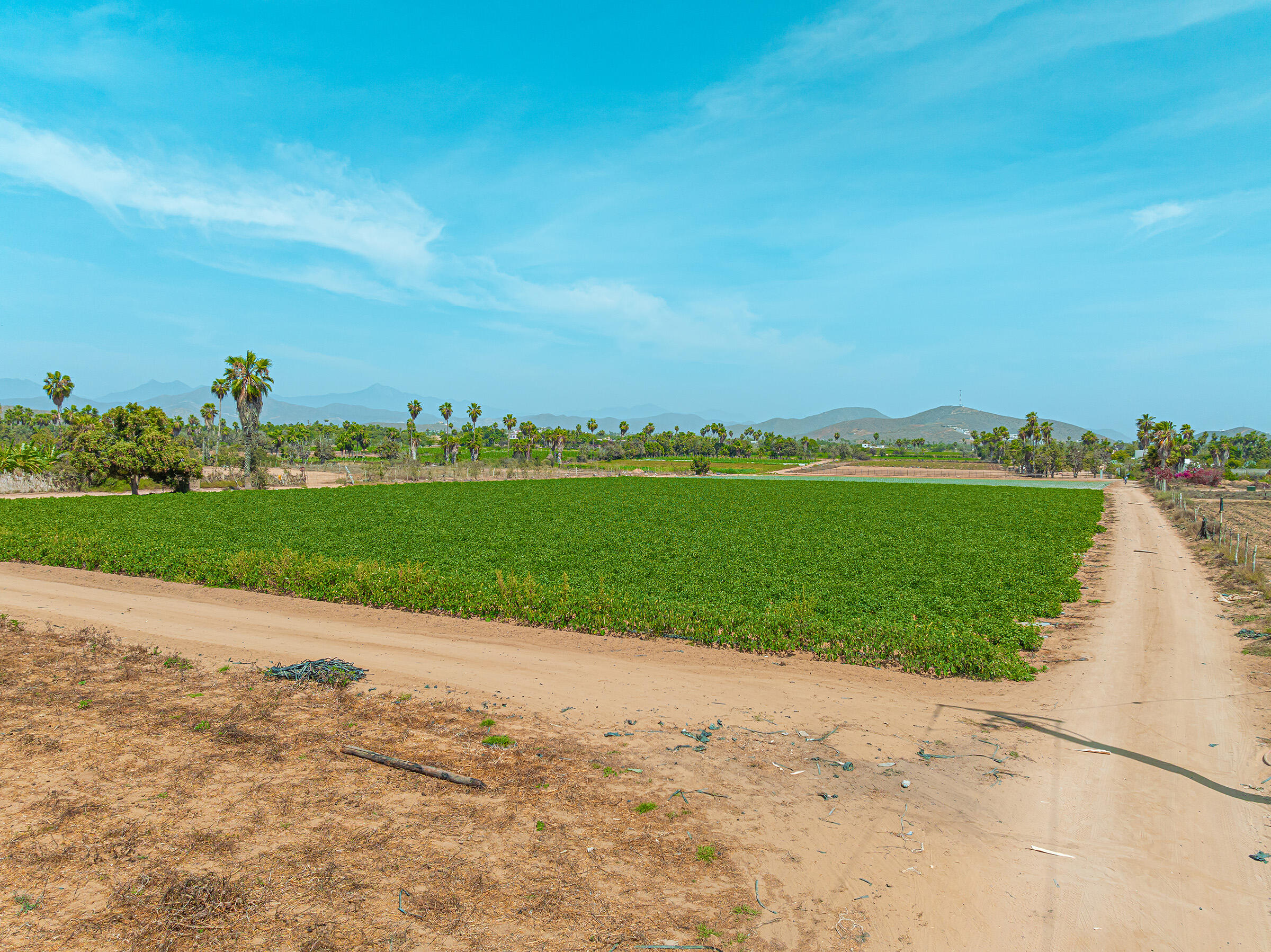 Rancho Sol y Cielo Lots D/E/F