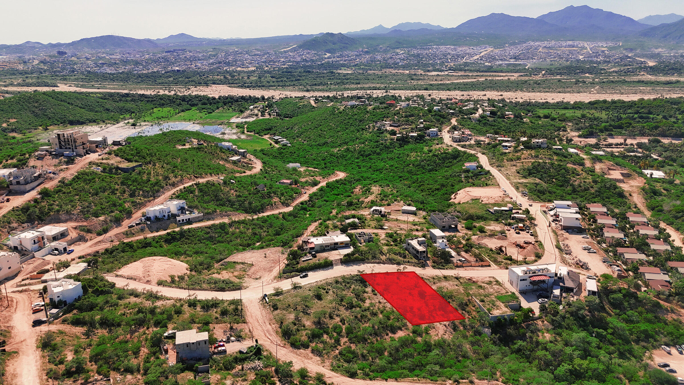 Lot 6 Animas Bajas - Agustin Olachea