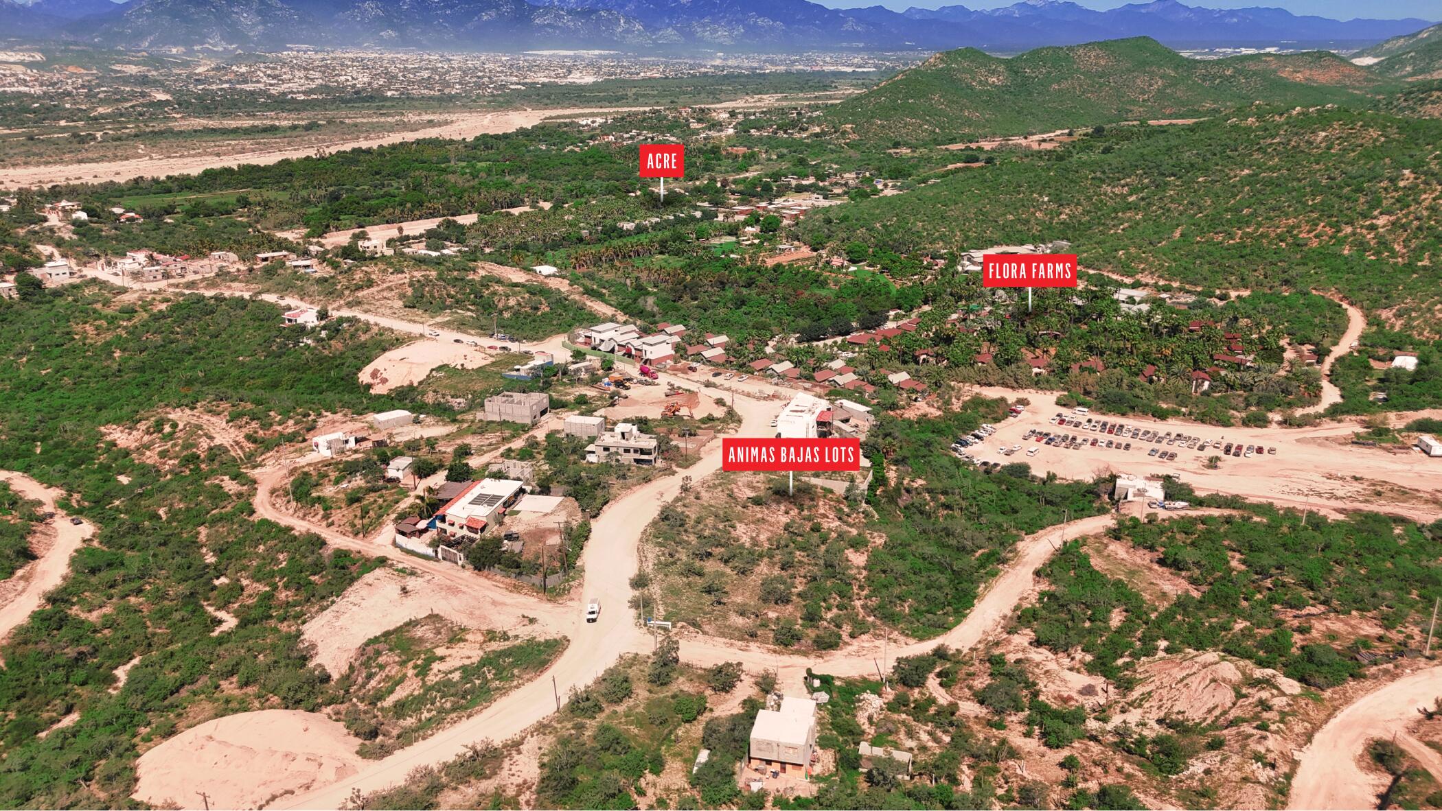 Lot 8 Animas Bajas - Agustin Olachea