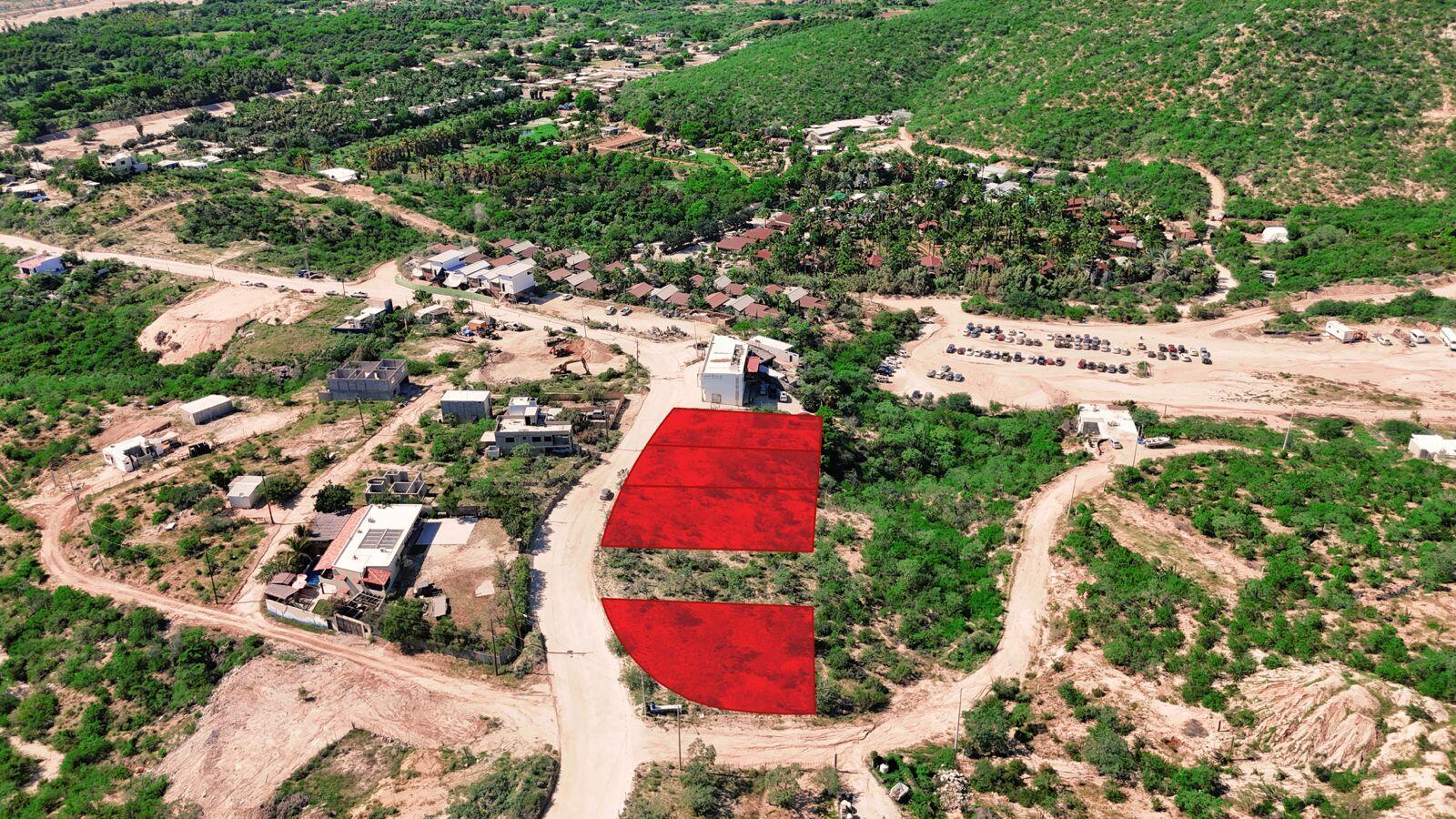 Lot 8 Animas Bajas - Agustin Olachea