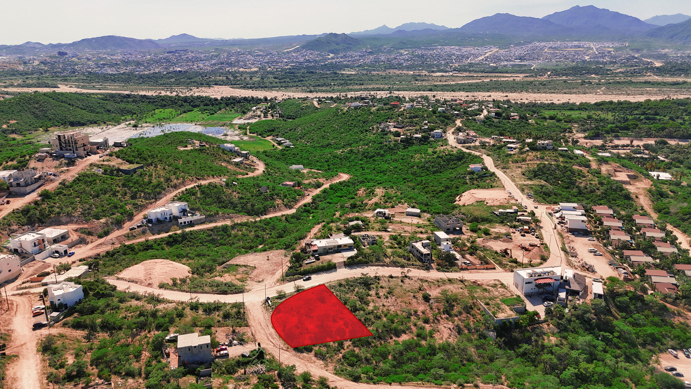 Lot 8 Animas Bajas - Agustin Olachea