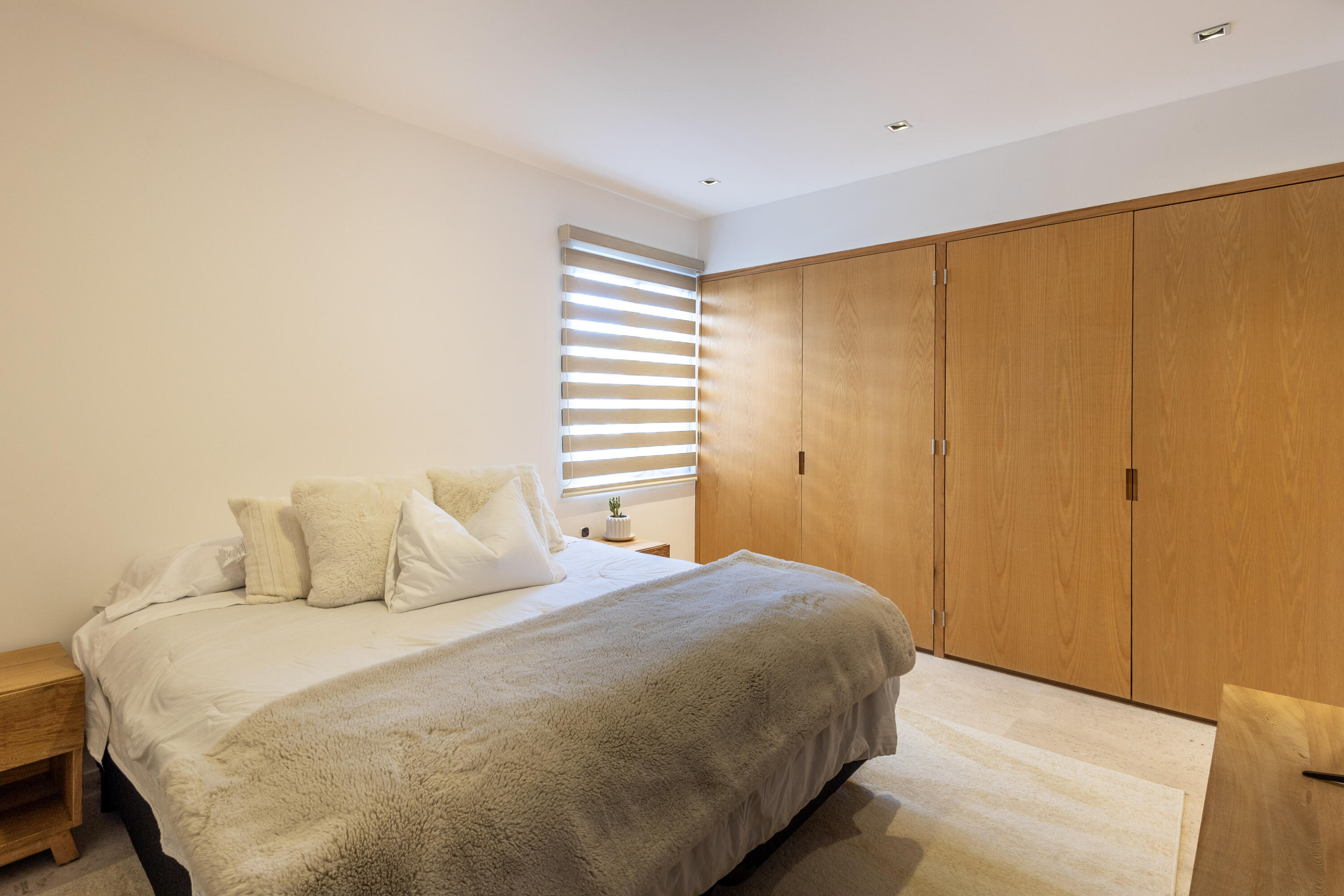 Solaria D102