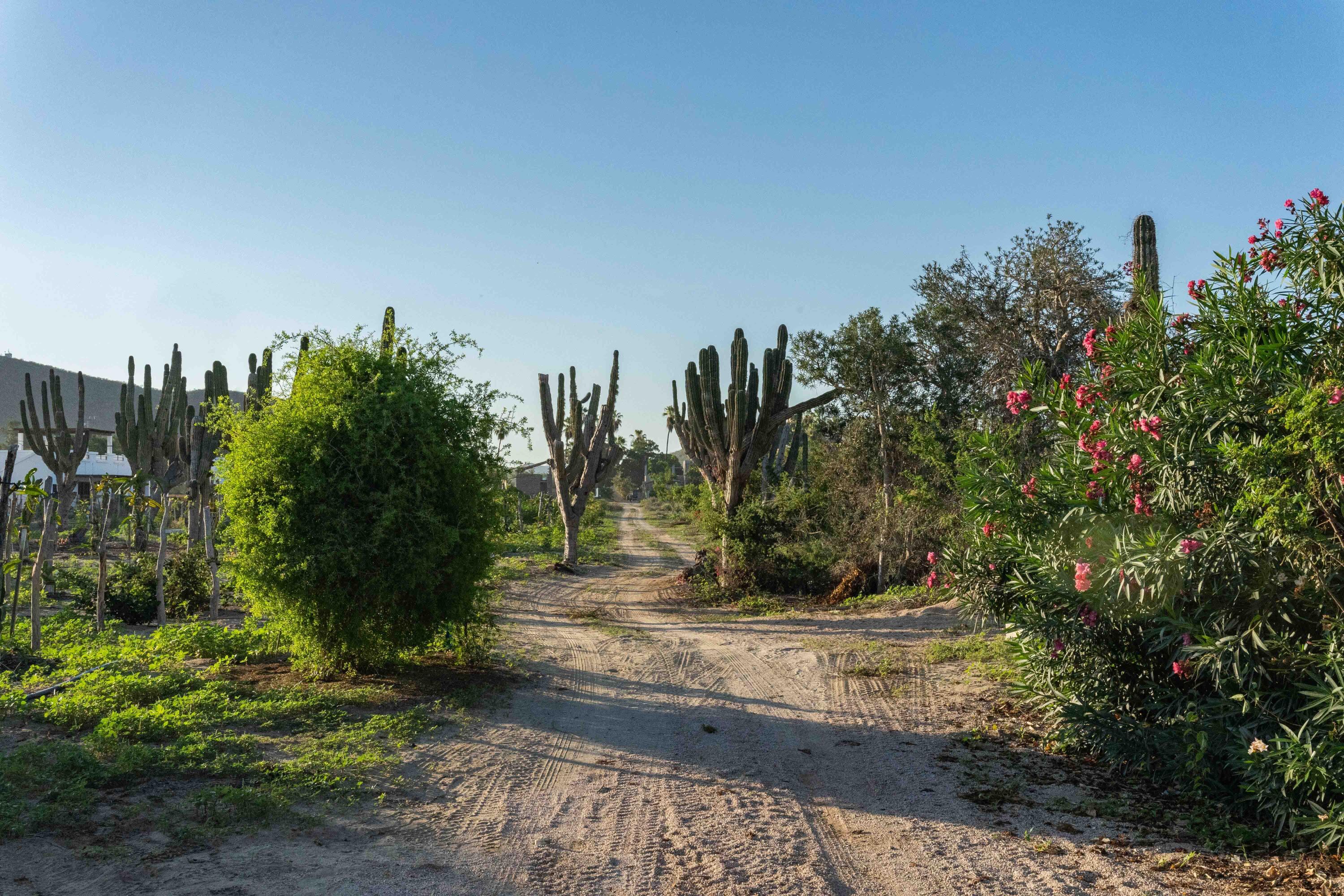 El Pescadero, Casa Kalida