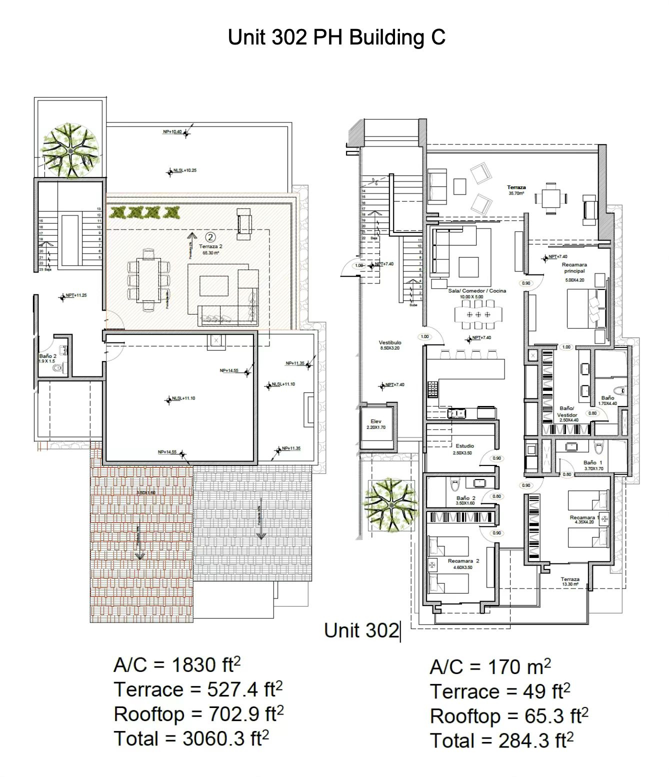 Costarena Penthouse C302