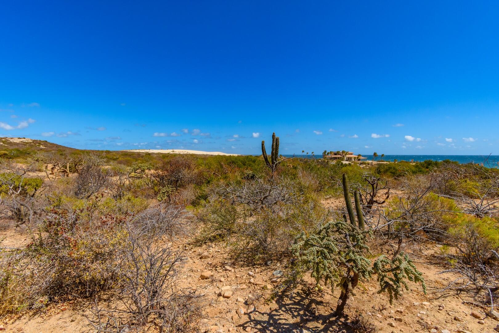 Las Dunas Development Parcel