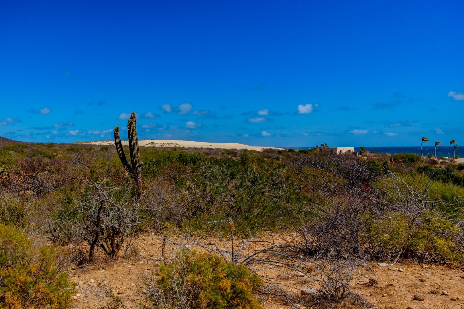 Las Dunas Development Parcel