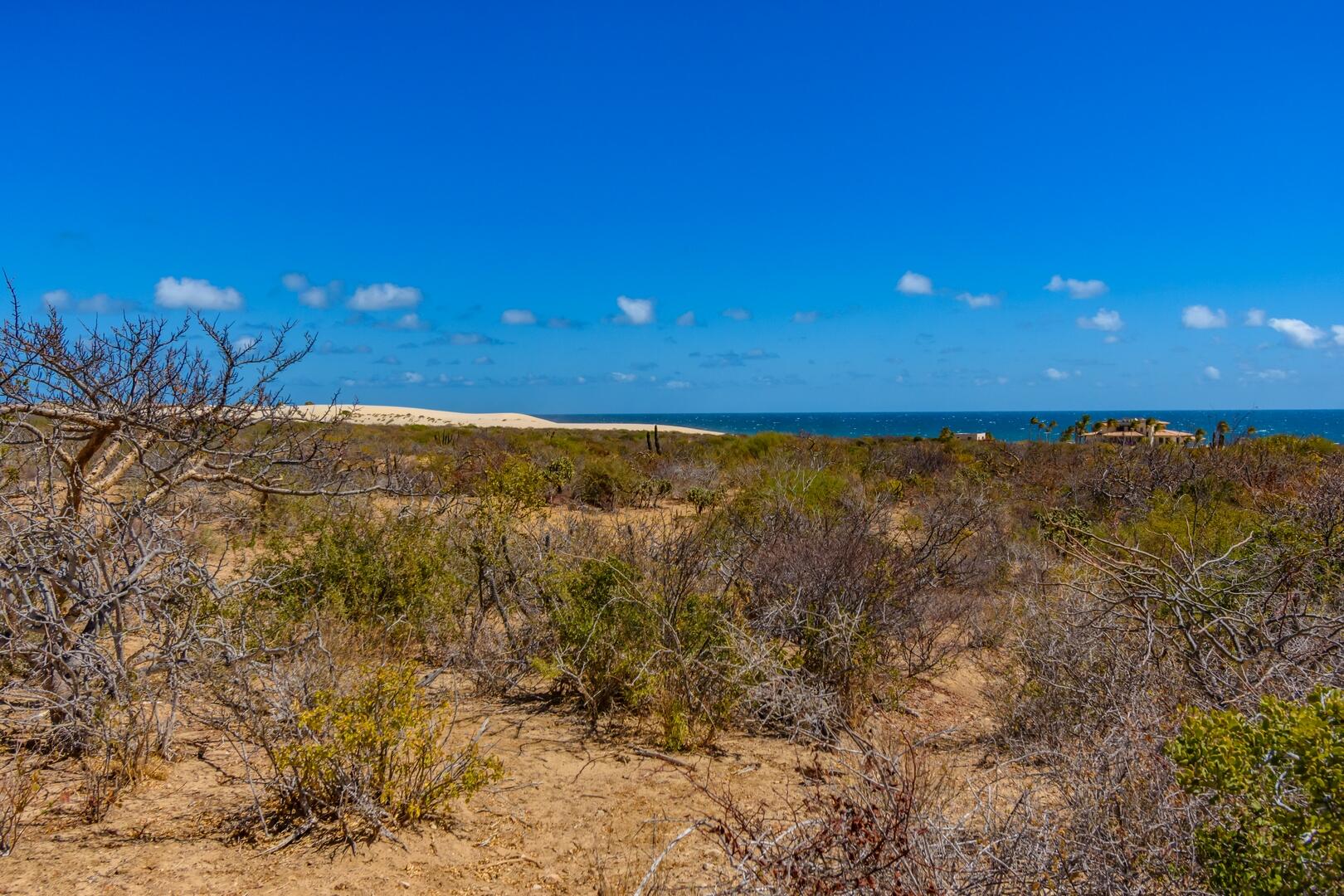 Las Dunas Development Parcel