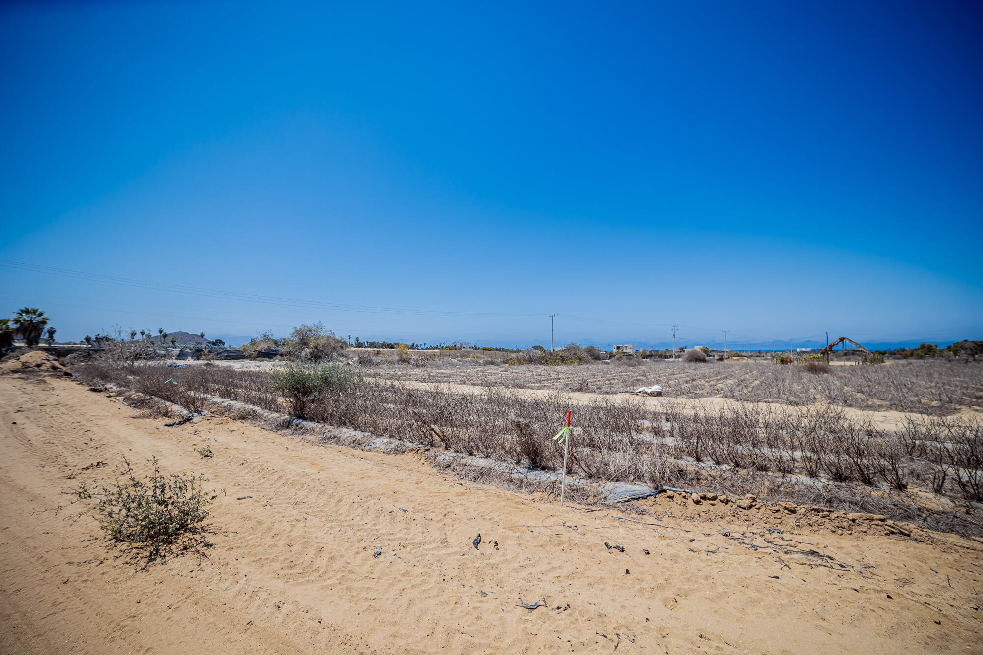 Baja Bliss Lot 2