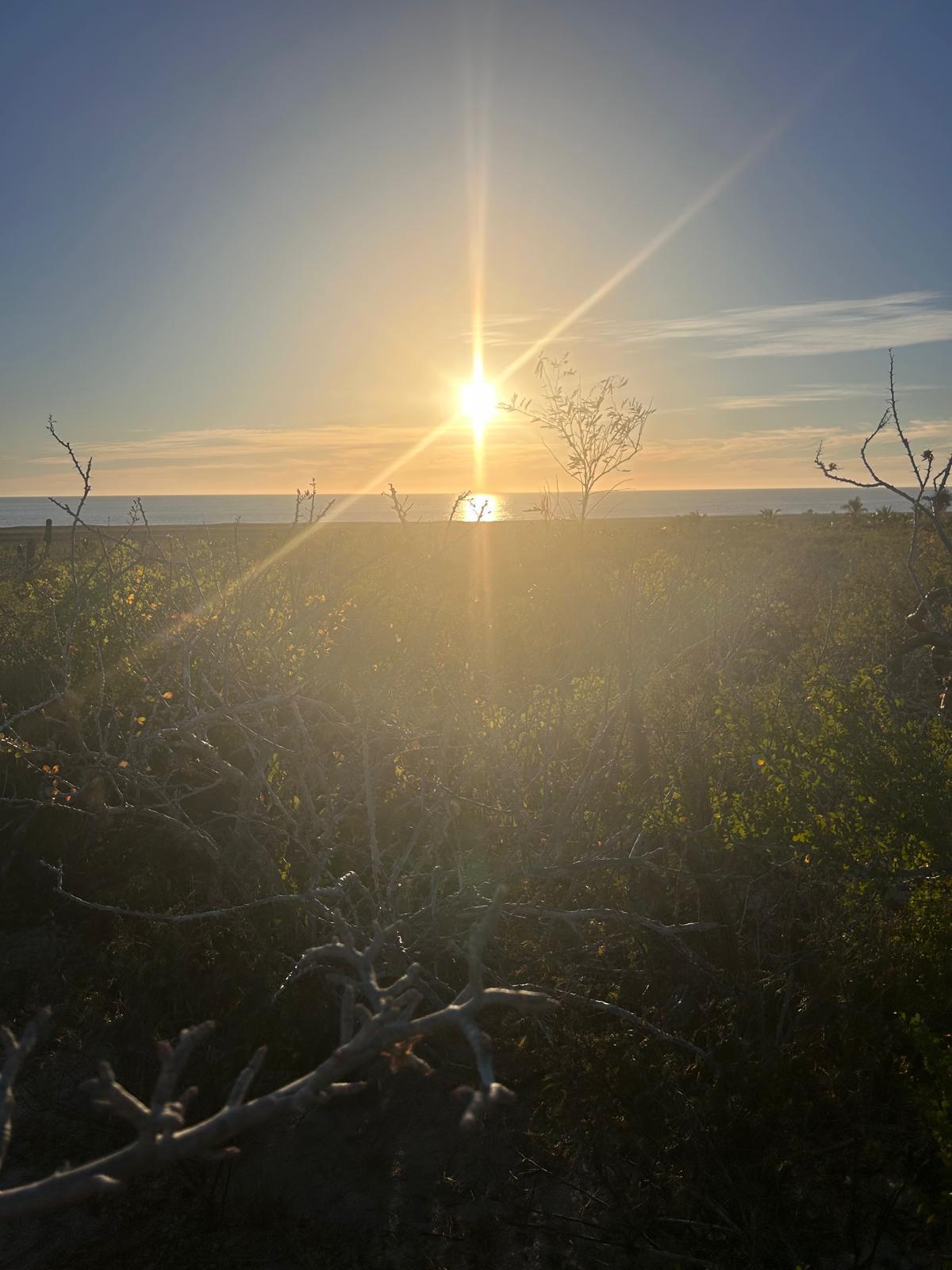 Endless Sunset Lote 1436