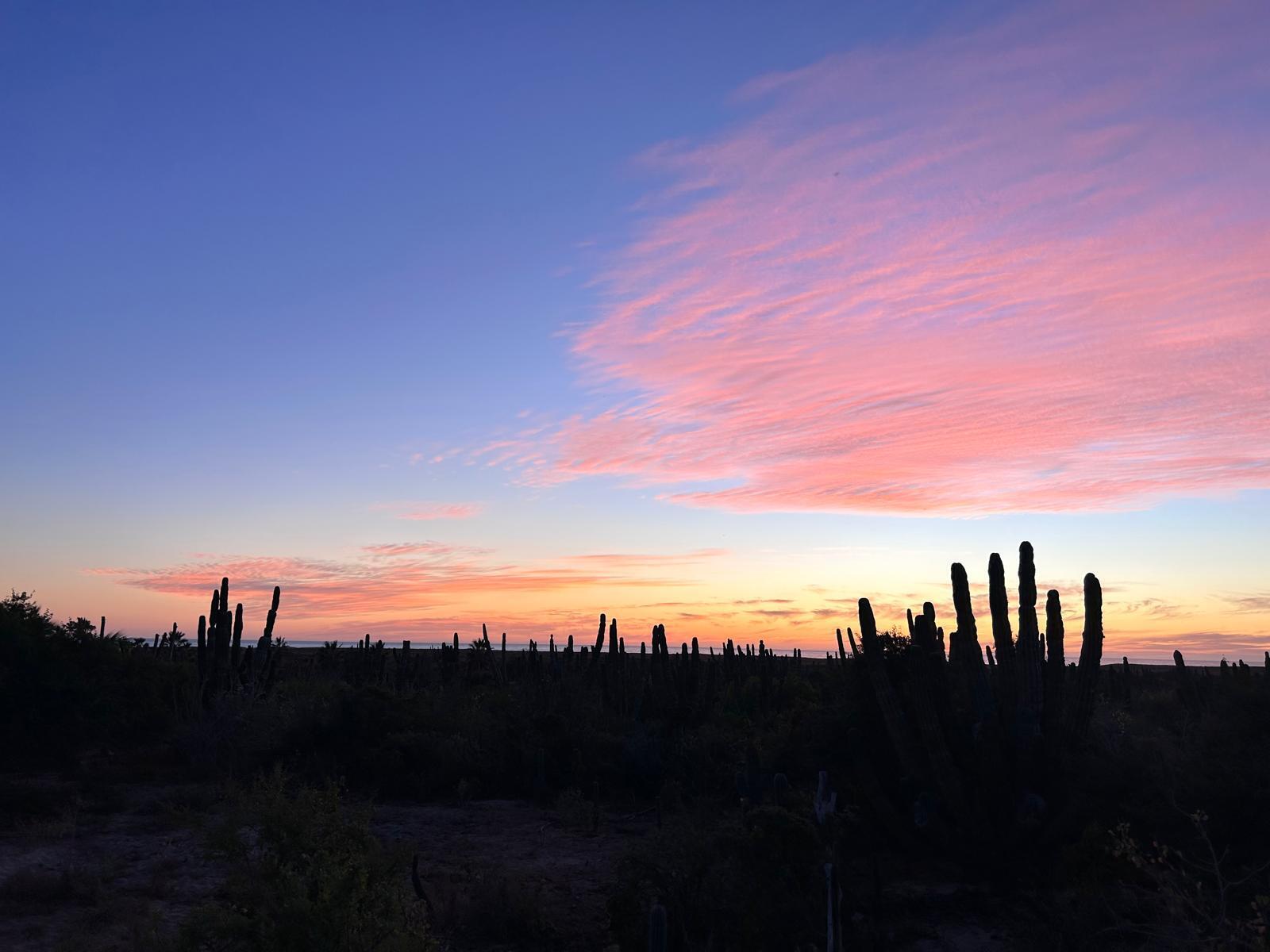 Endless Sunset Lote 1436
