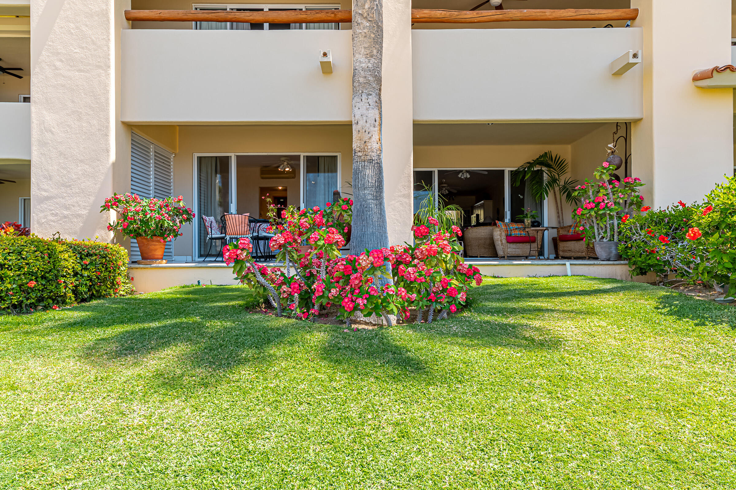 Gardenias Paloma 103