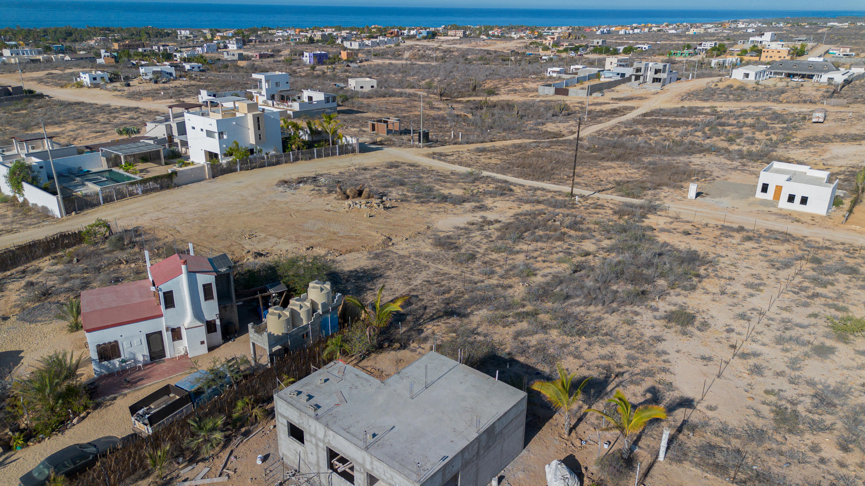 Cactus Wren 1 at La Ahorcadita
