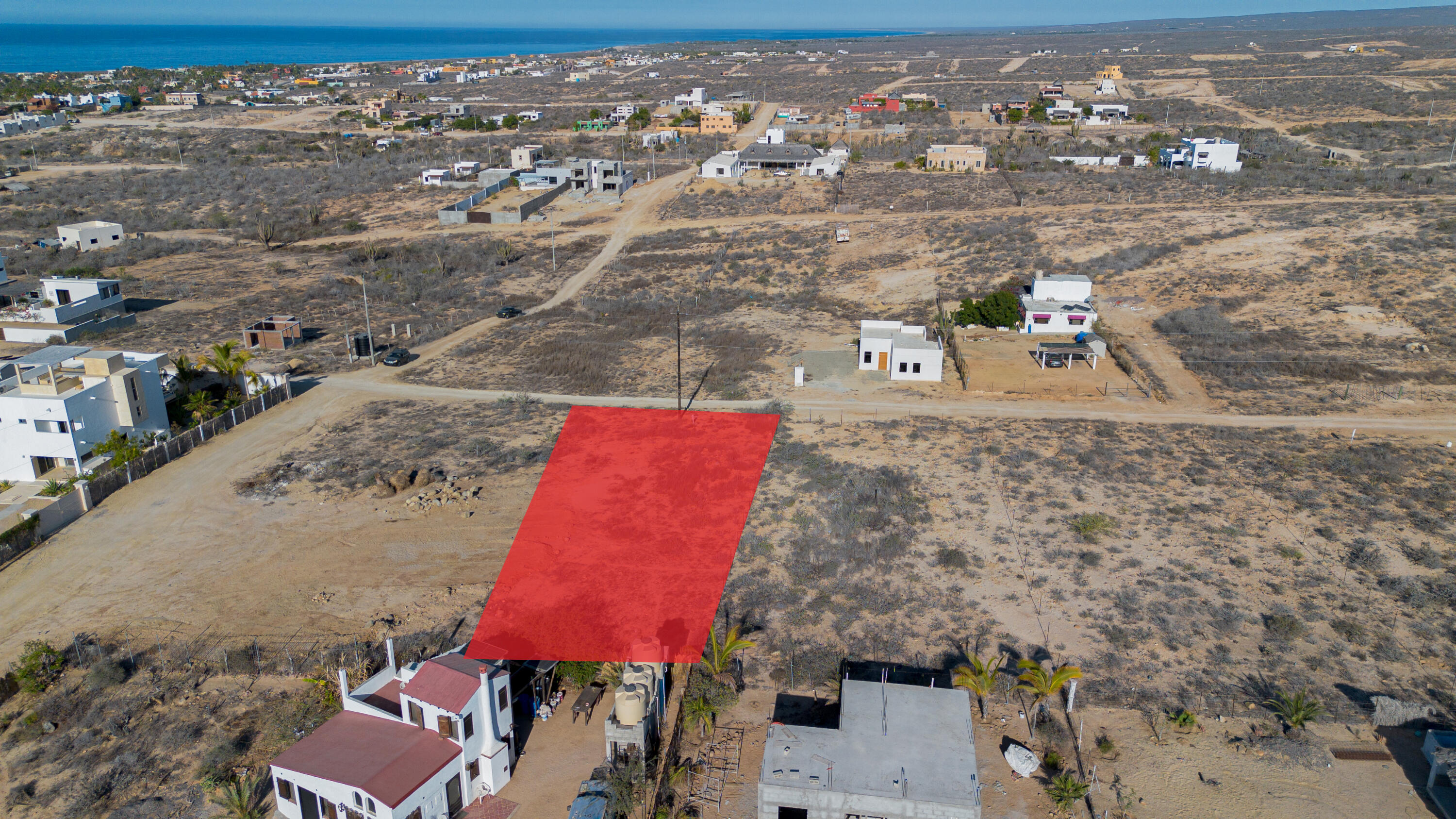 Cactus Wren 1 at La Ahorcadita