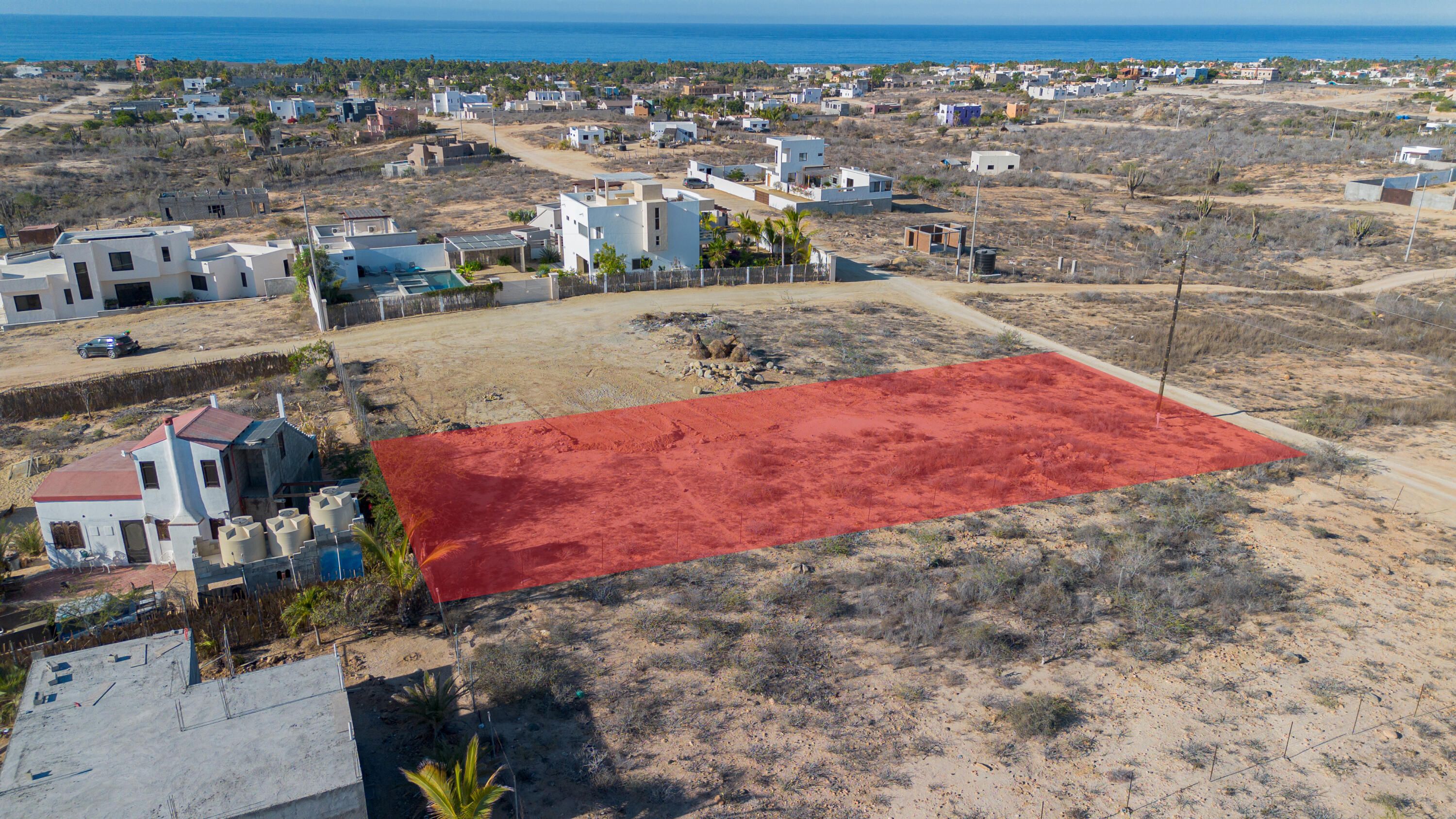 Cactus Wren 1 at La Ahorcadita