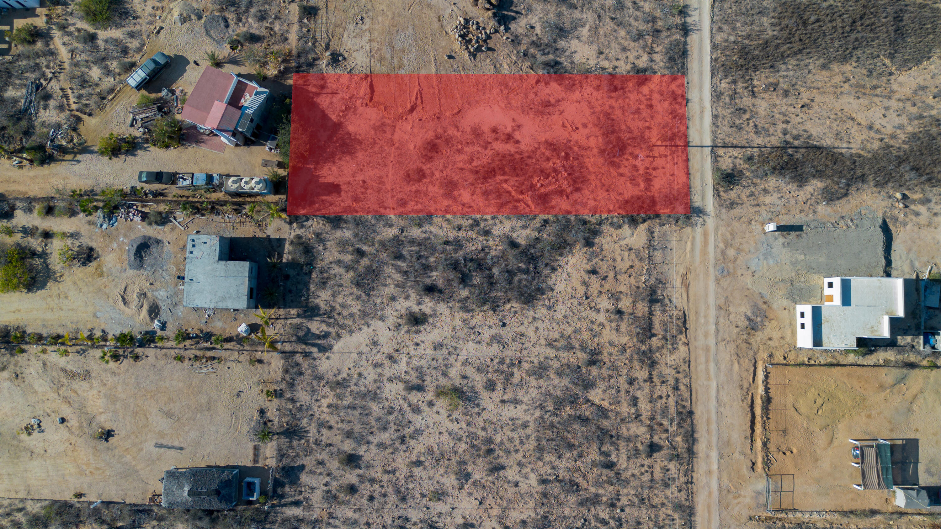 Cactus Wren 1 at La Ahorcadita