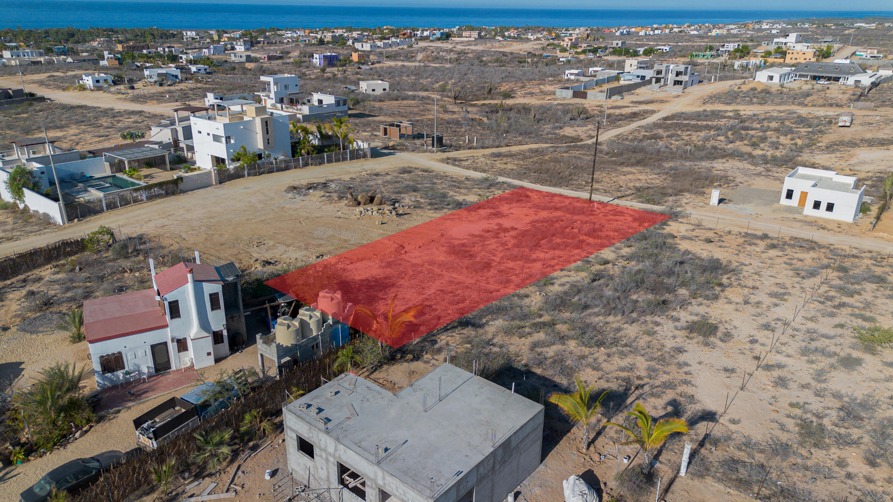Cactus Wren 1 at La Ahorcadita