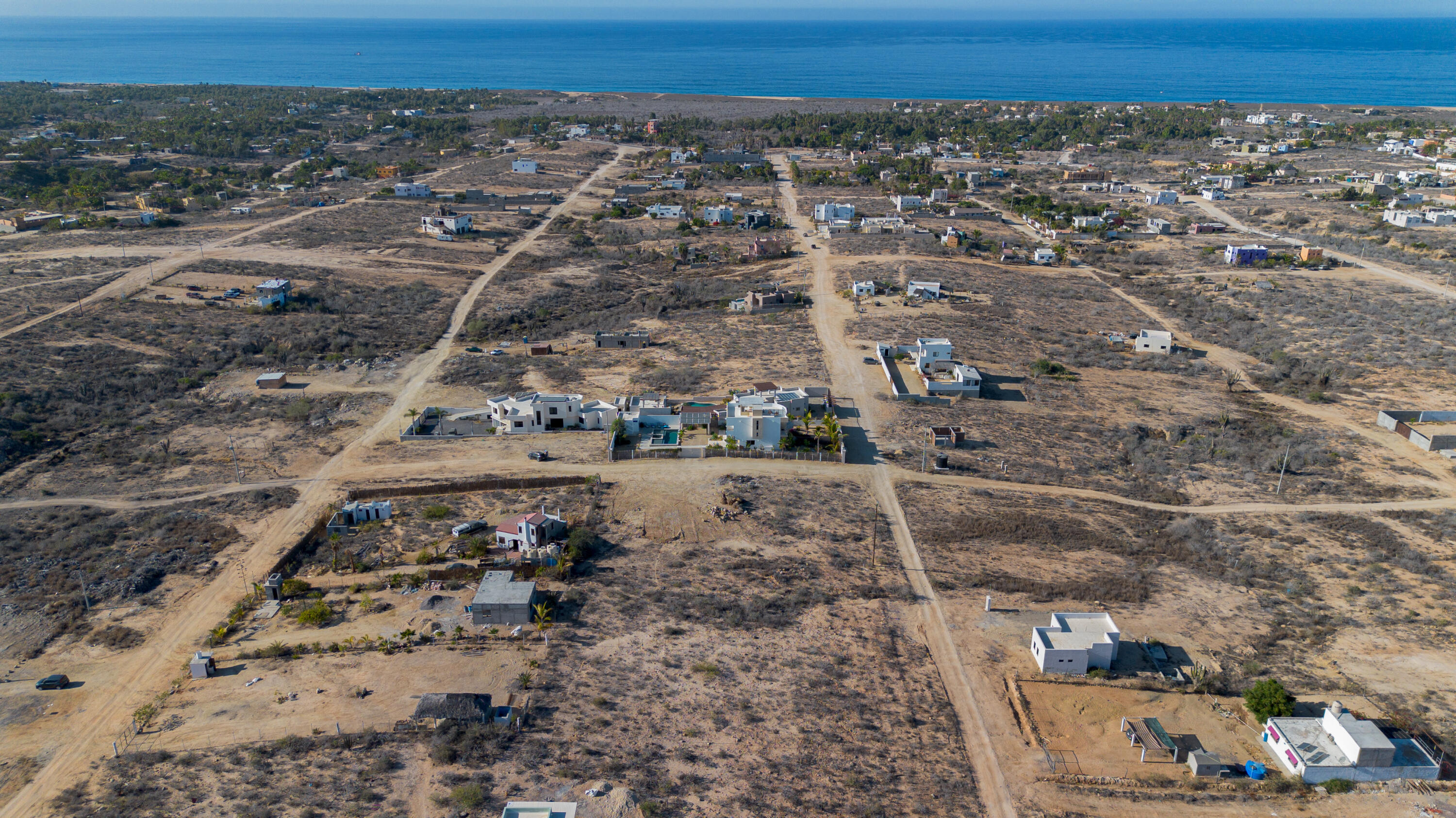 Cactus Wren 1 at La Ahorcadita