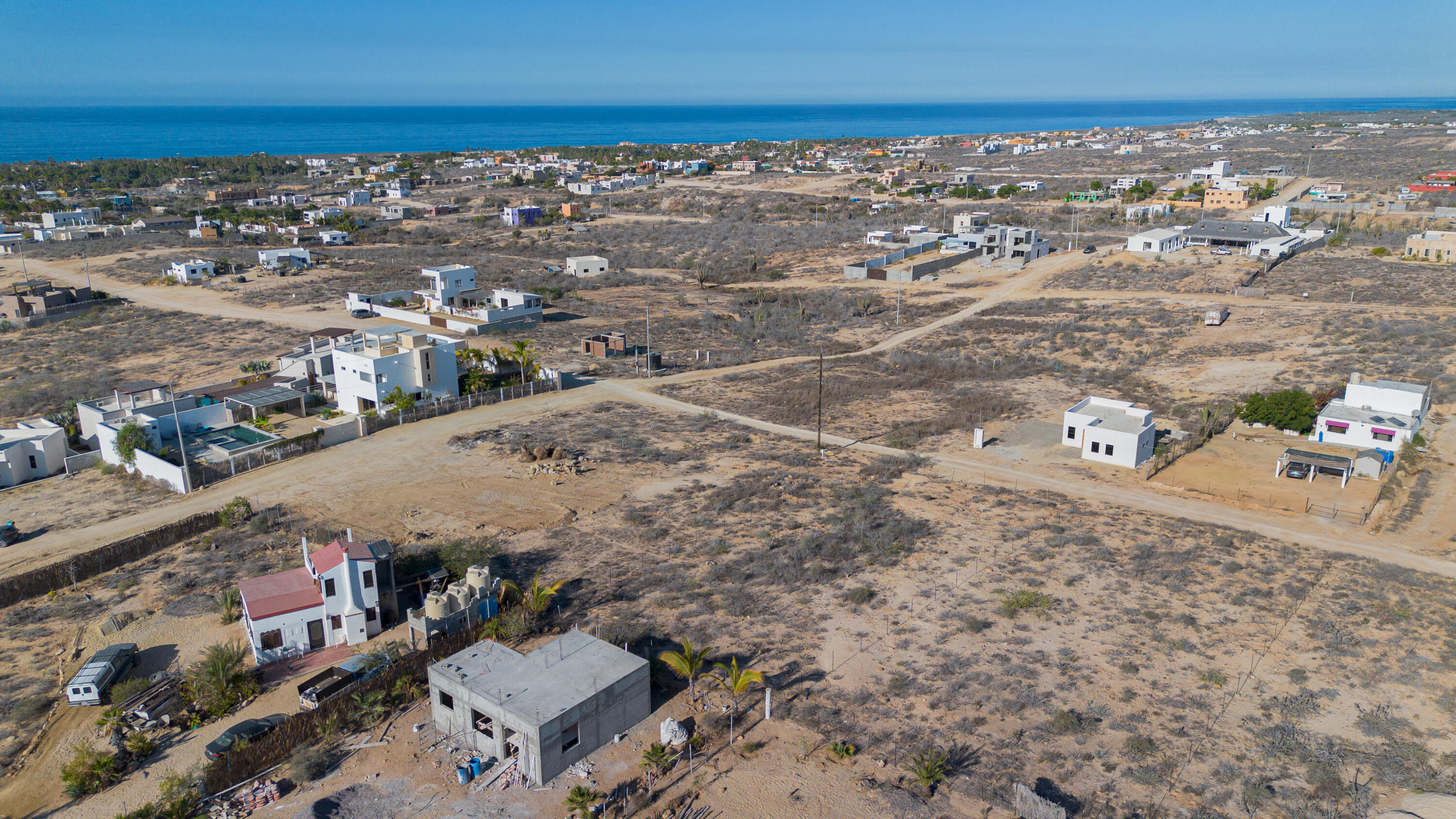 Cactus Wren 1 at La Ahorcadita