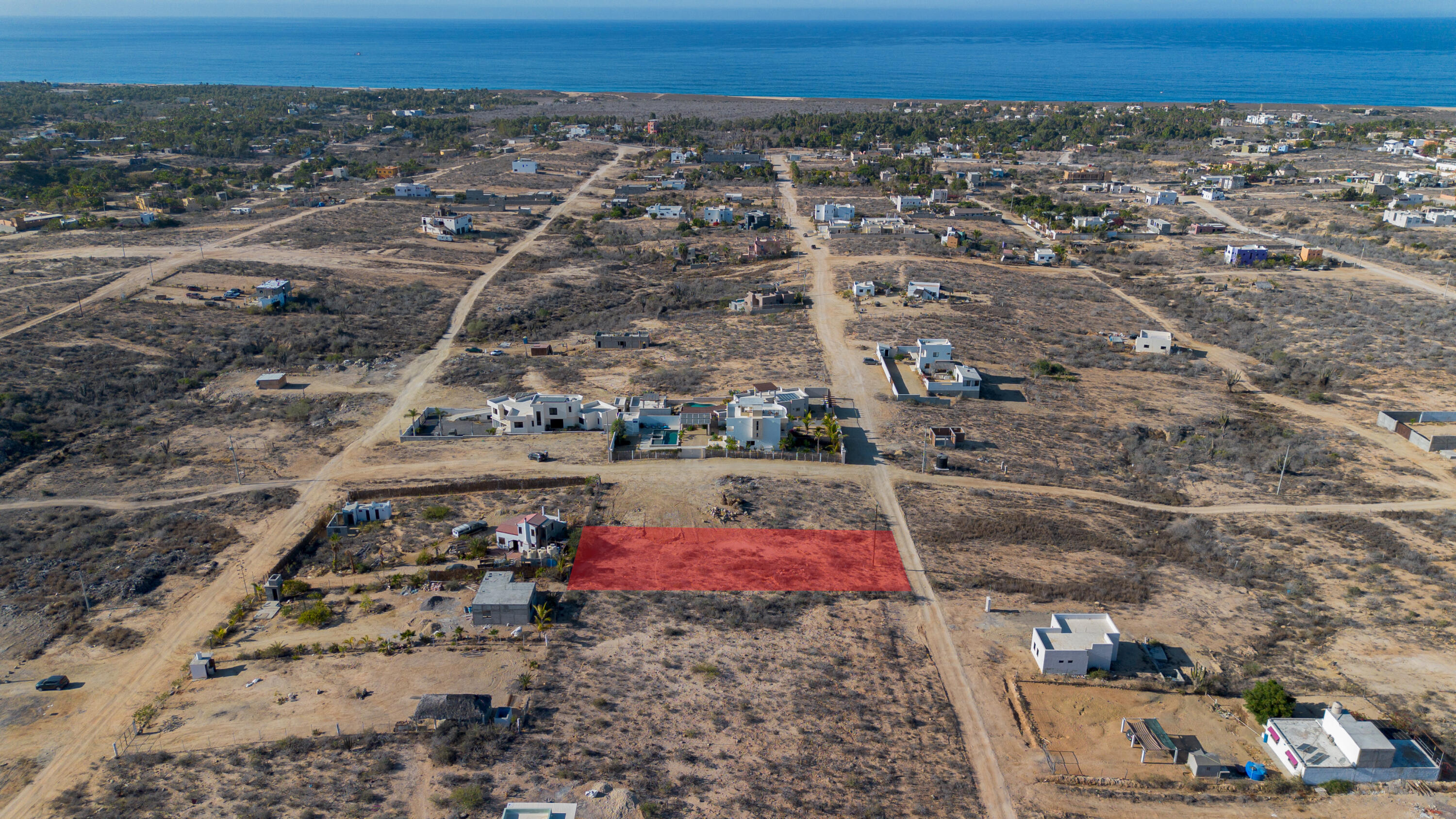 Cactus Wren 1 at La Ahorcadita