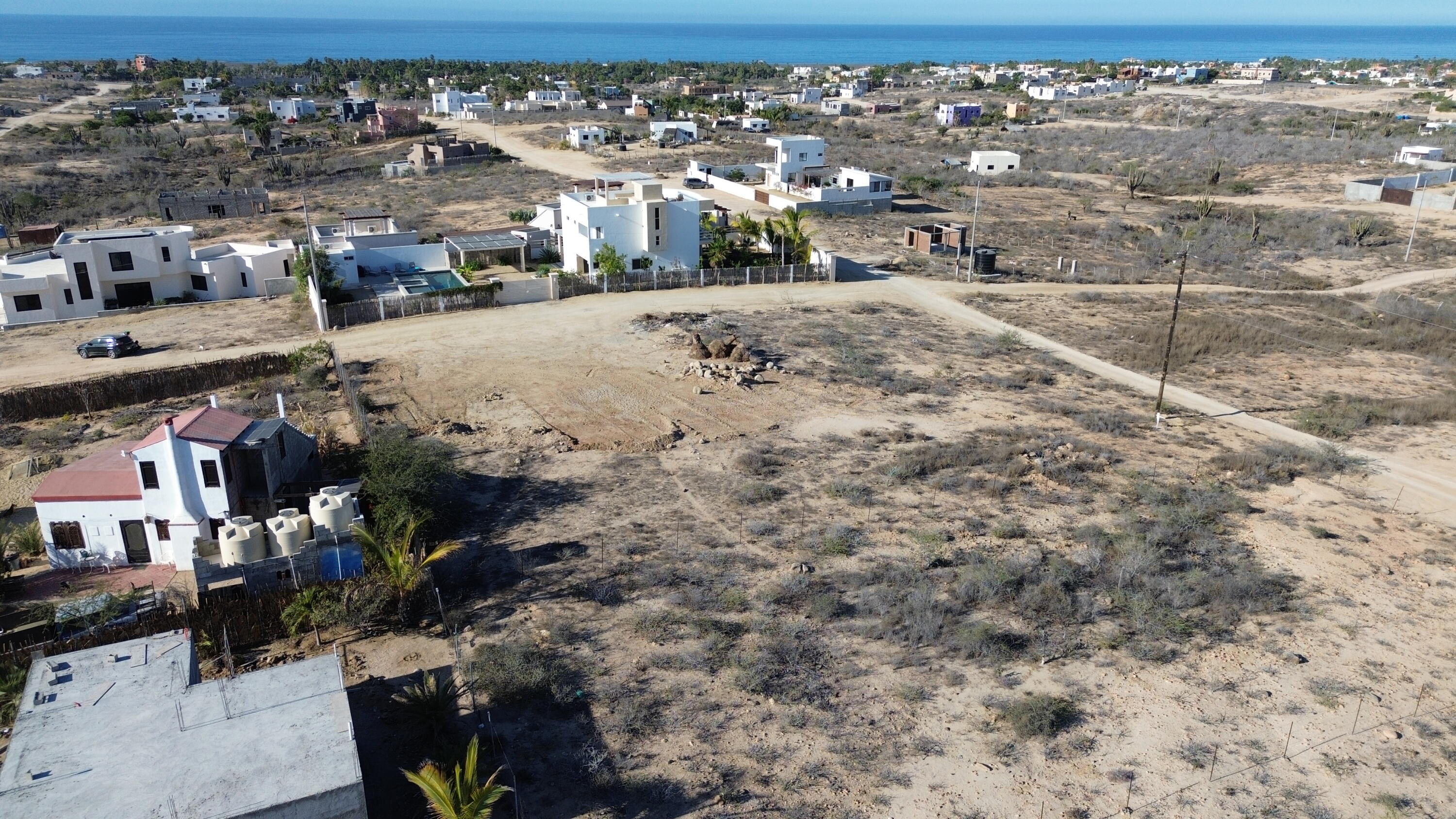 Cactus Wren 1 at La Ahorcadita