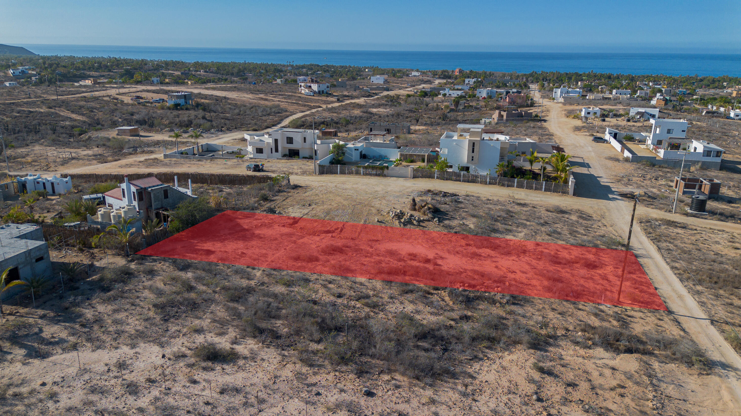 Cactus Wren 1 at La Ahorcadita
