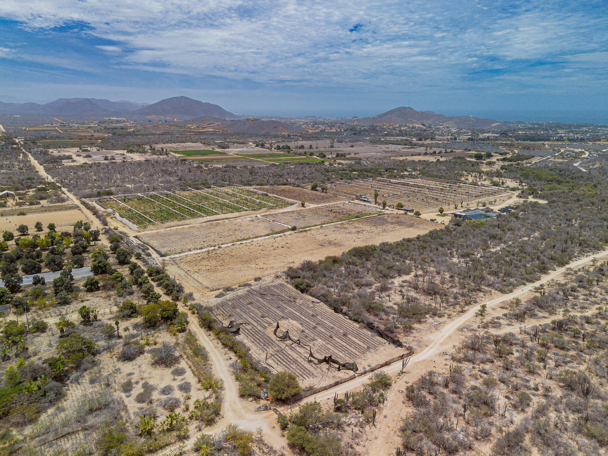 San Simon Developers Dream Land