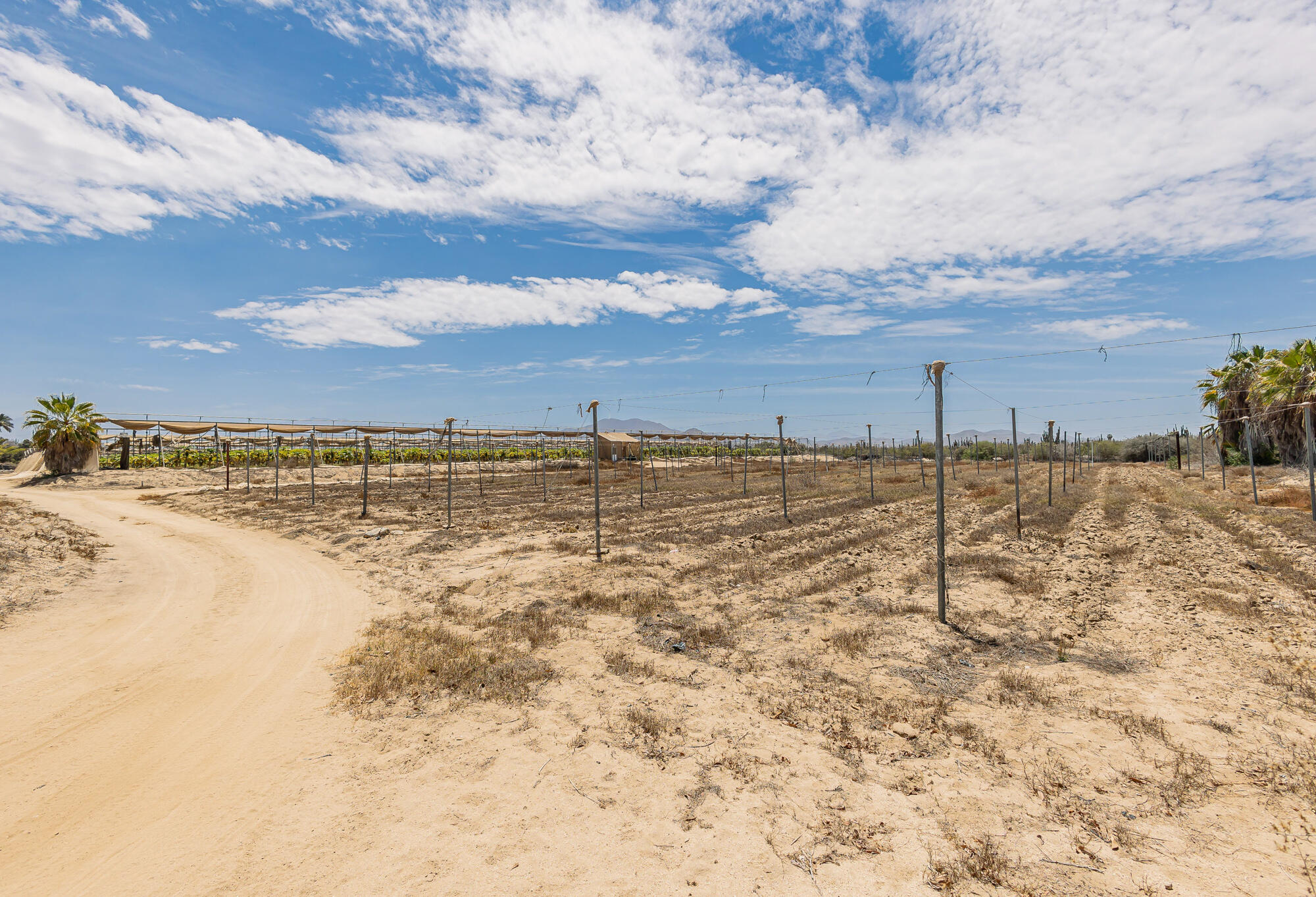 San Simon Developers Dream Land