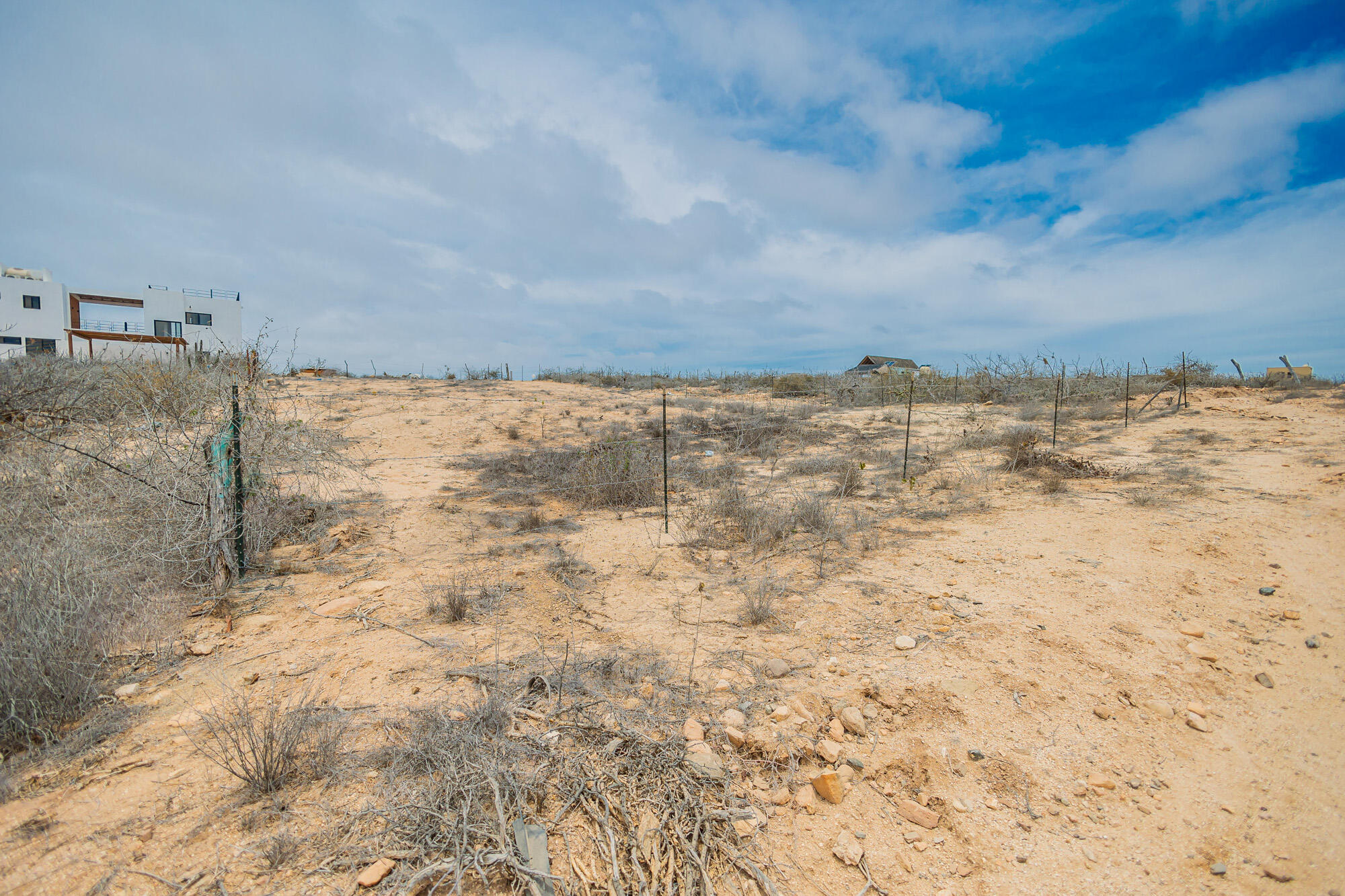 Roadrunner Lot 016 at La Ahorcadita