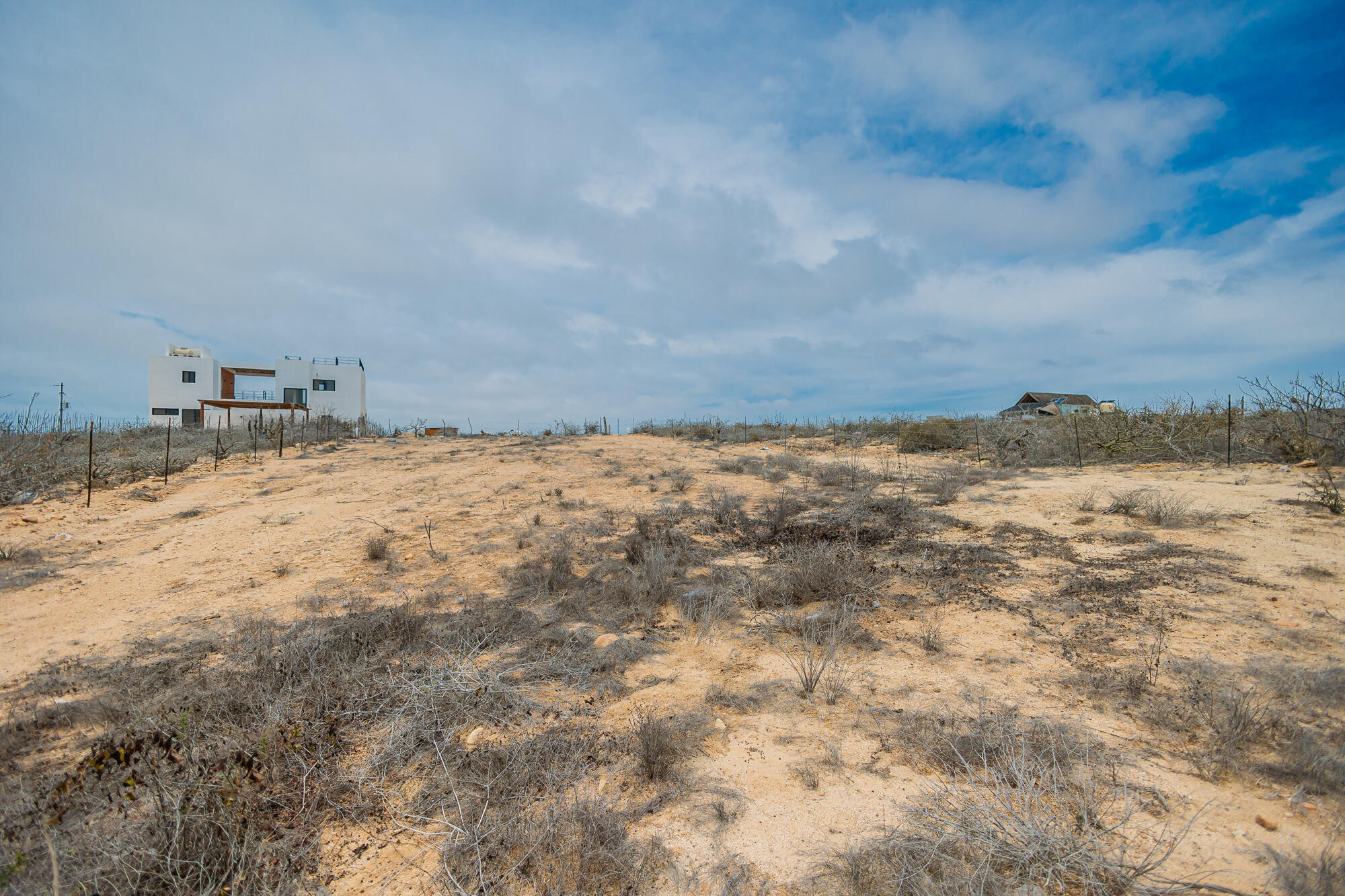 Roadrunner Lot 016 at La Ahorcadita