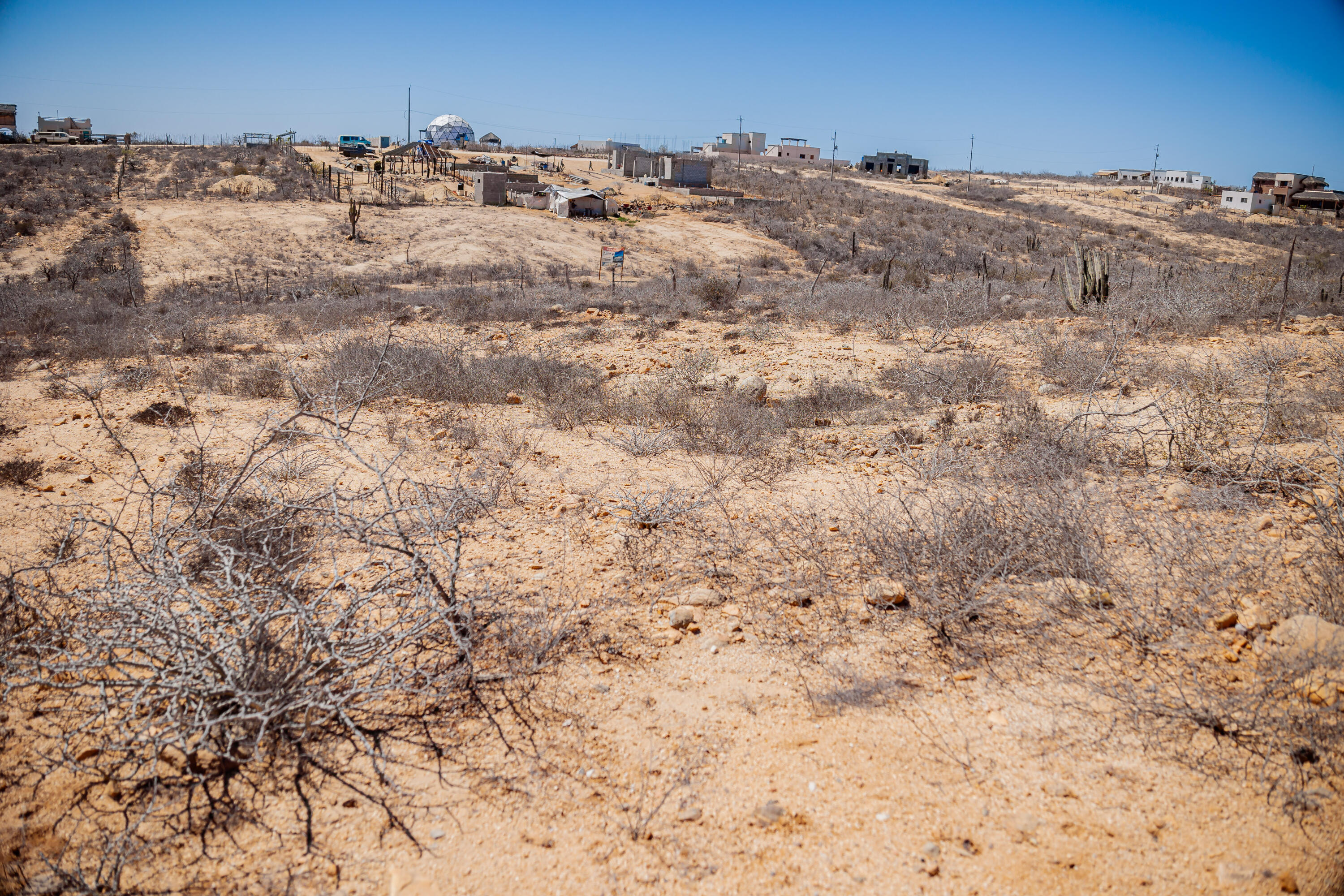 Roadrunner Lot 016 at La Ahorcadita