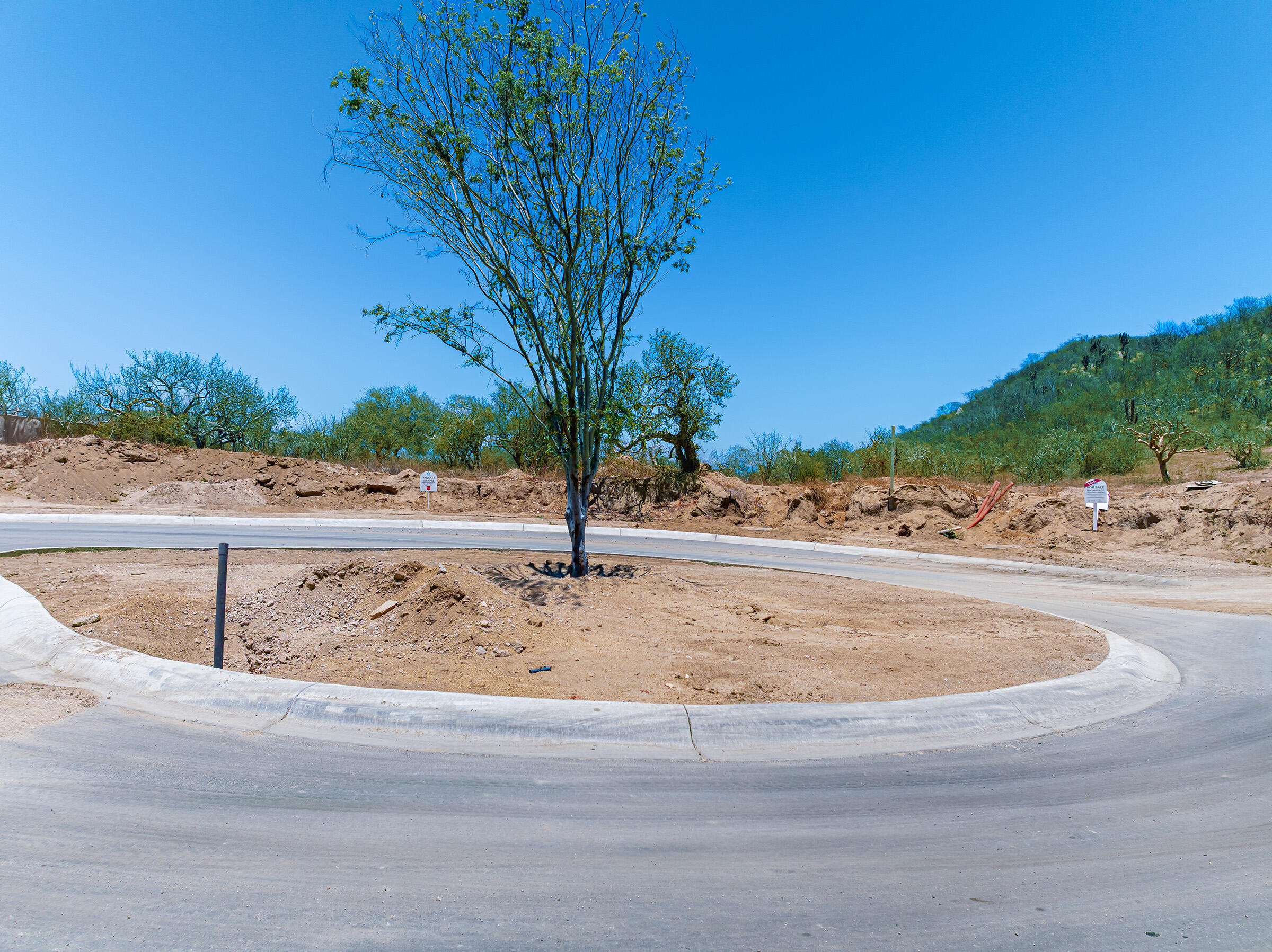 Homesite #9 at Palmilla Park 