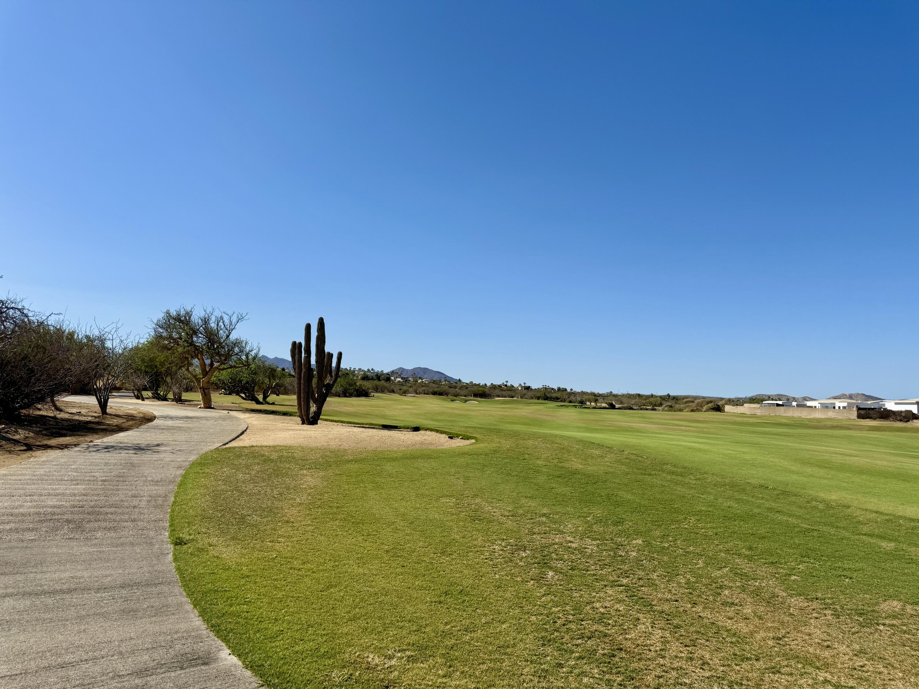 Homesite #9 at Palmilla Park 