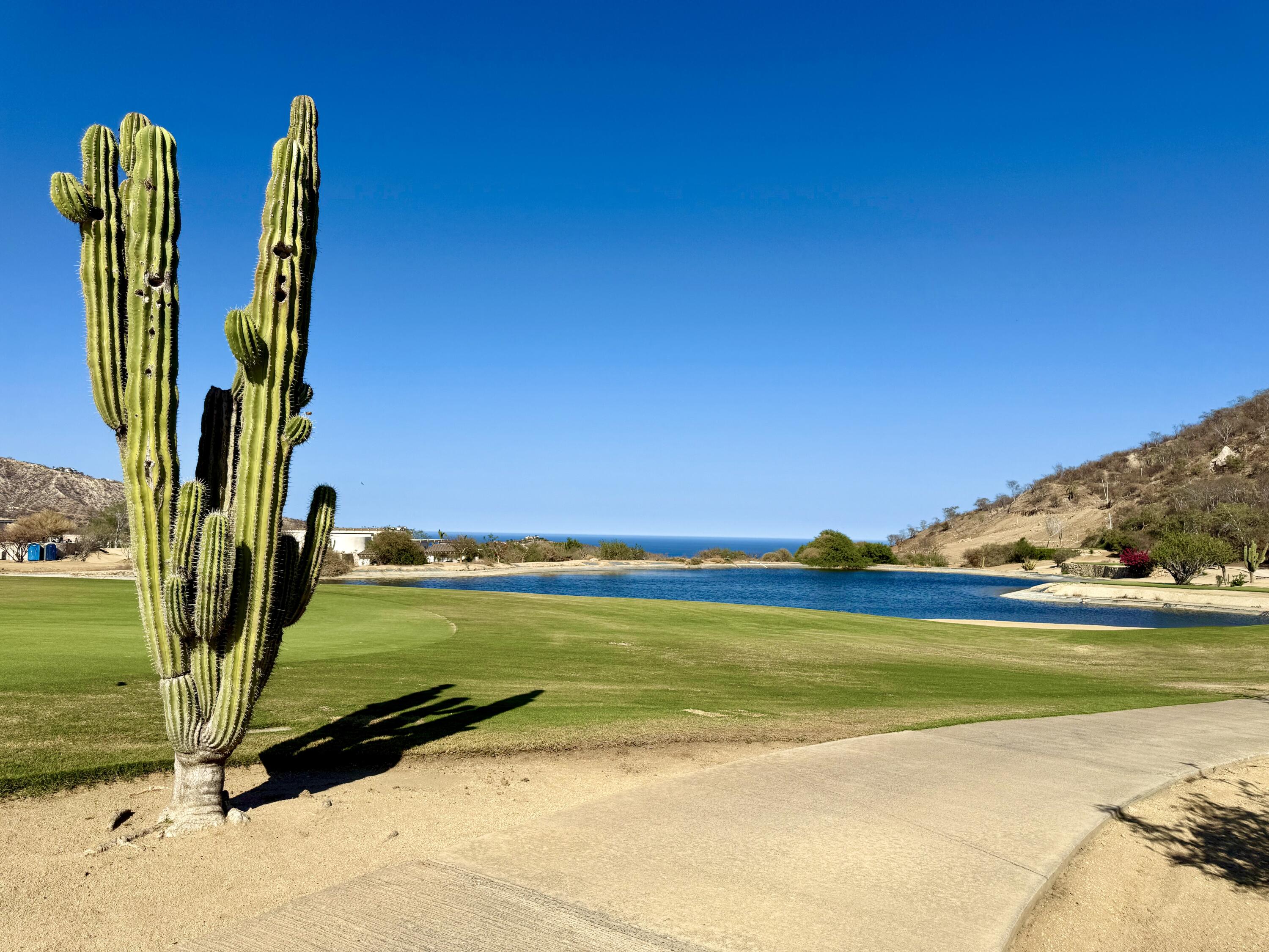 Homesite #9 at Palmilla Park 