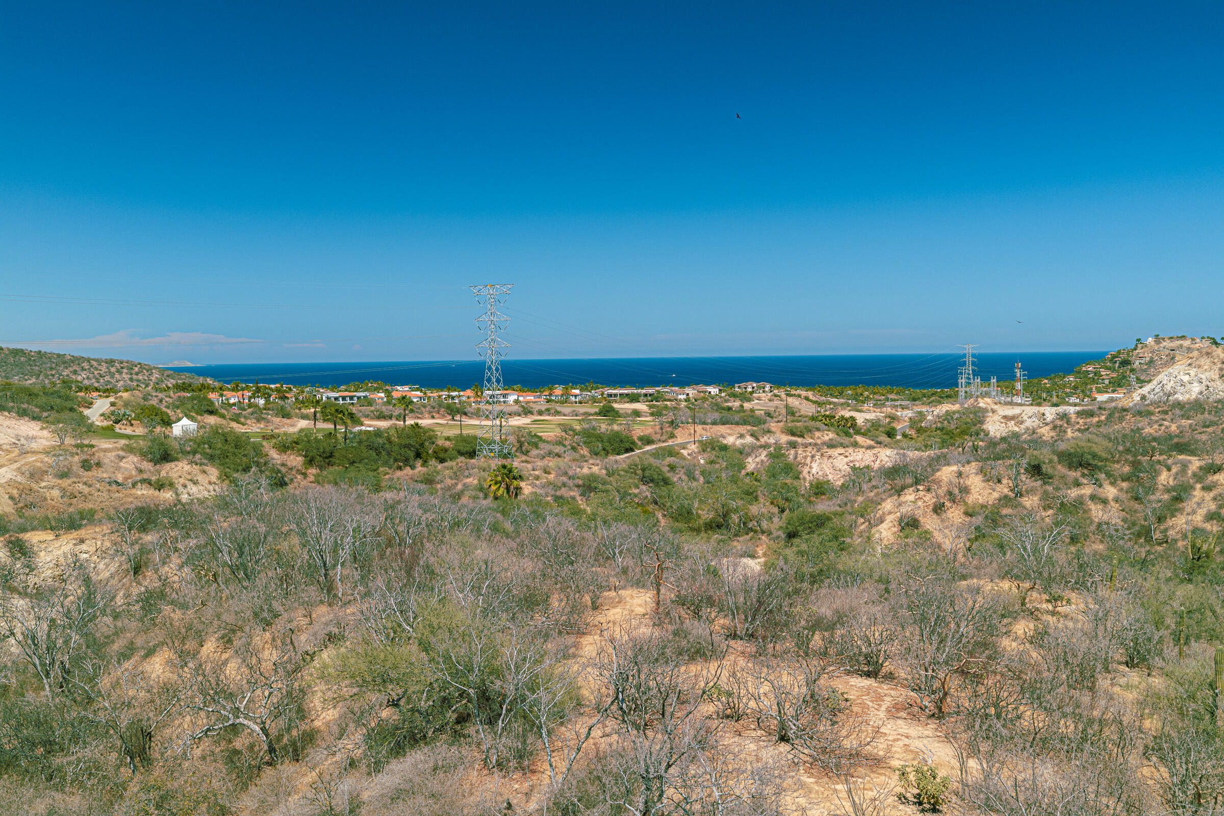 El Zalate - Lote 3