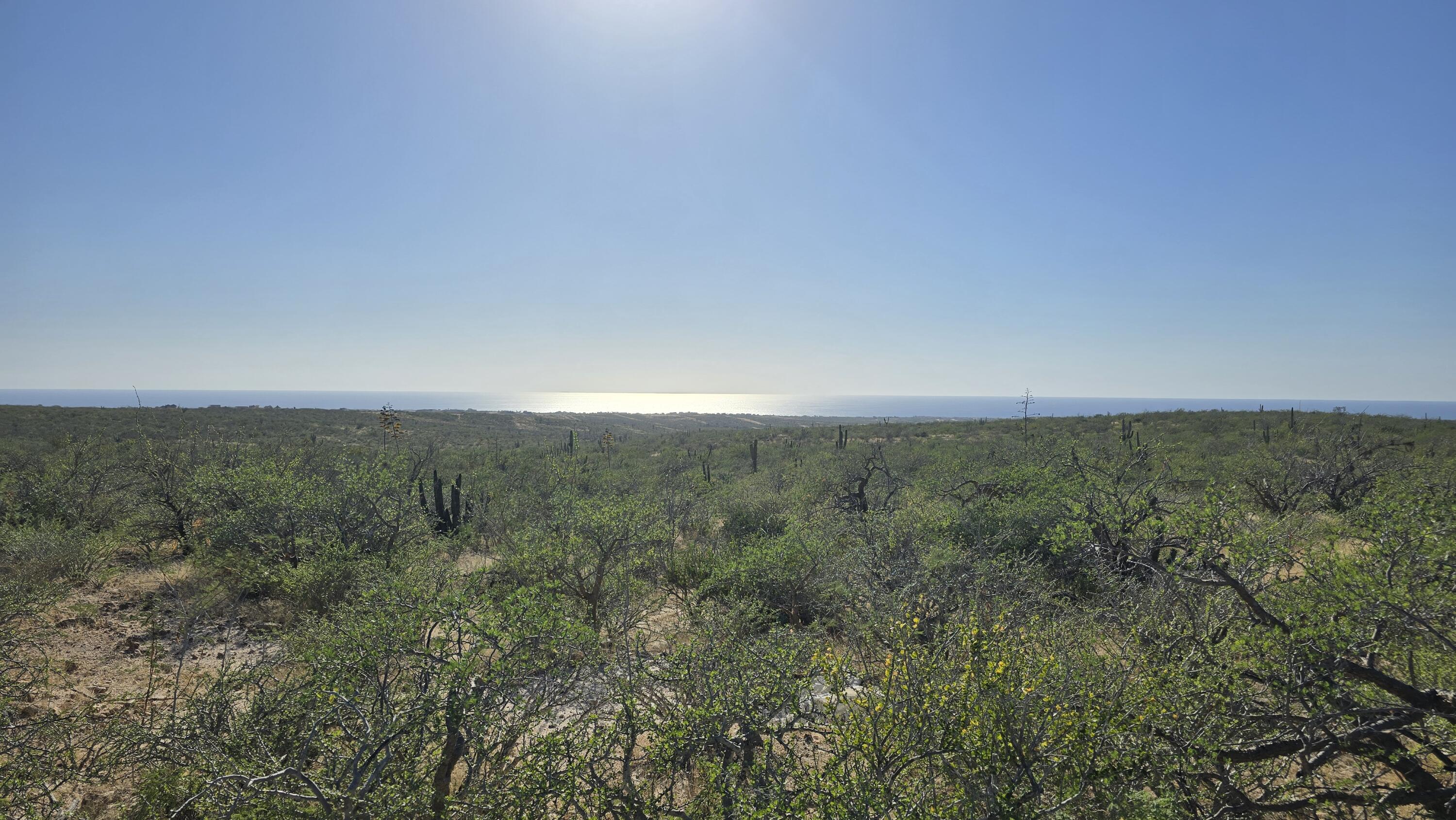 La Tinaja 003