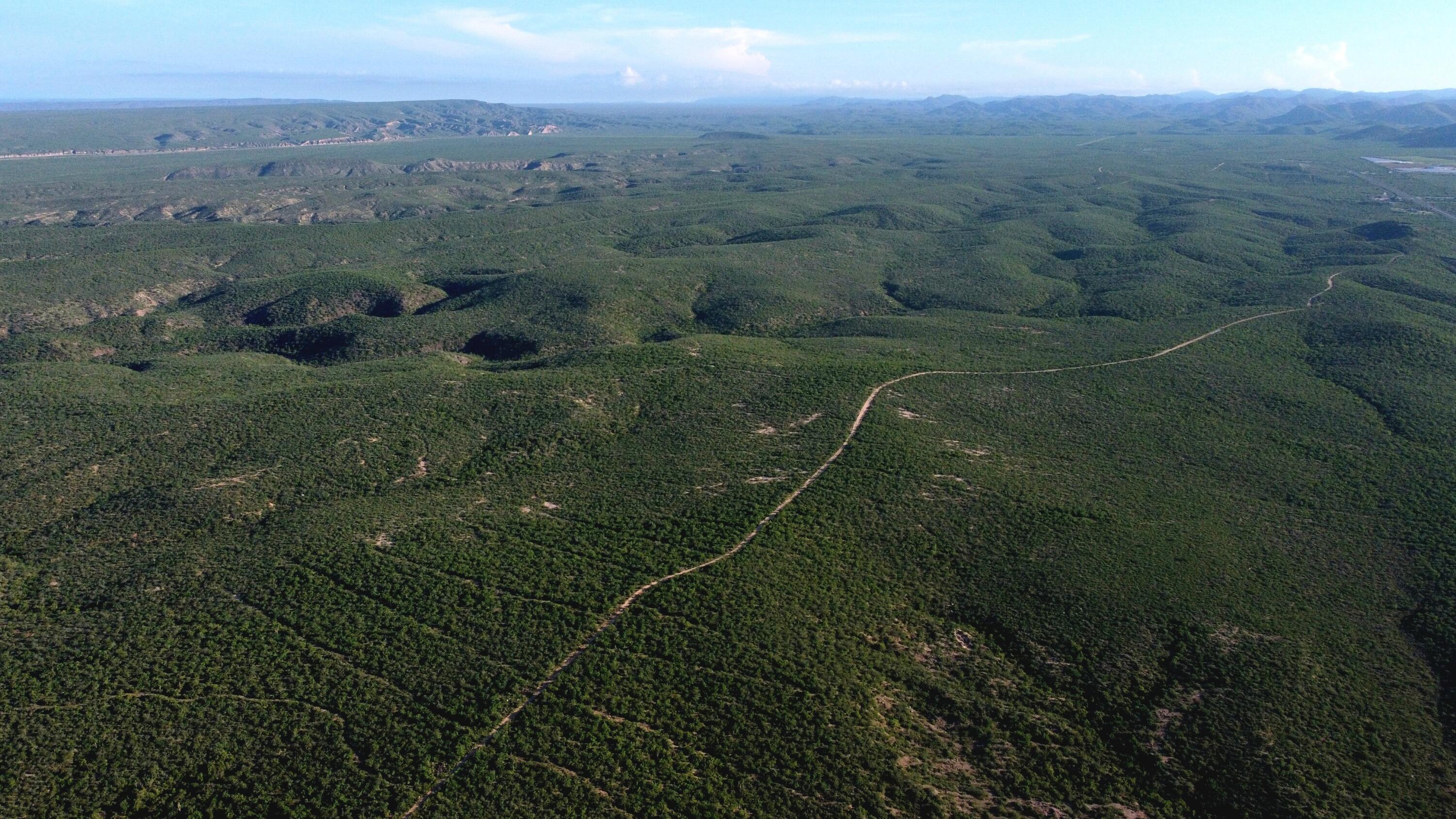 La Tinaja 003