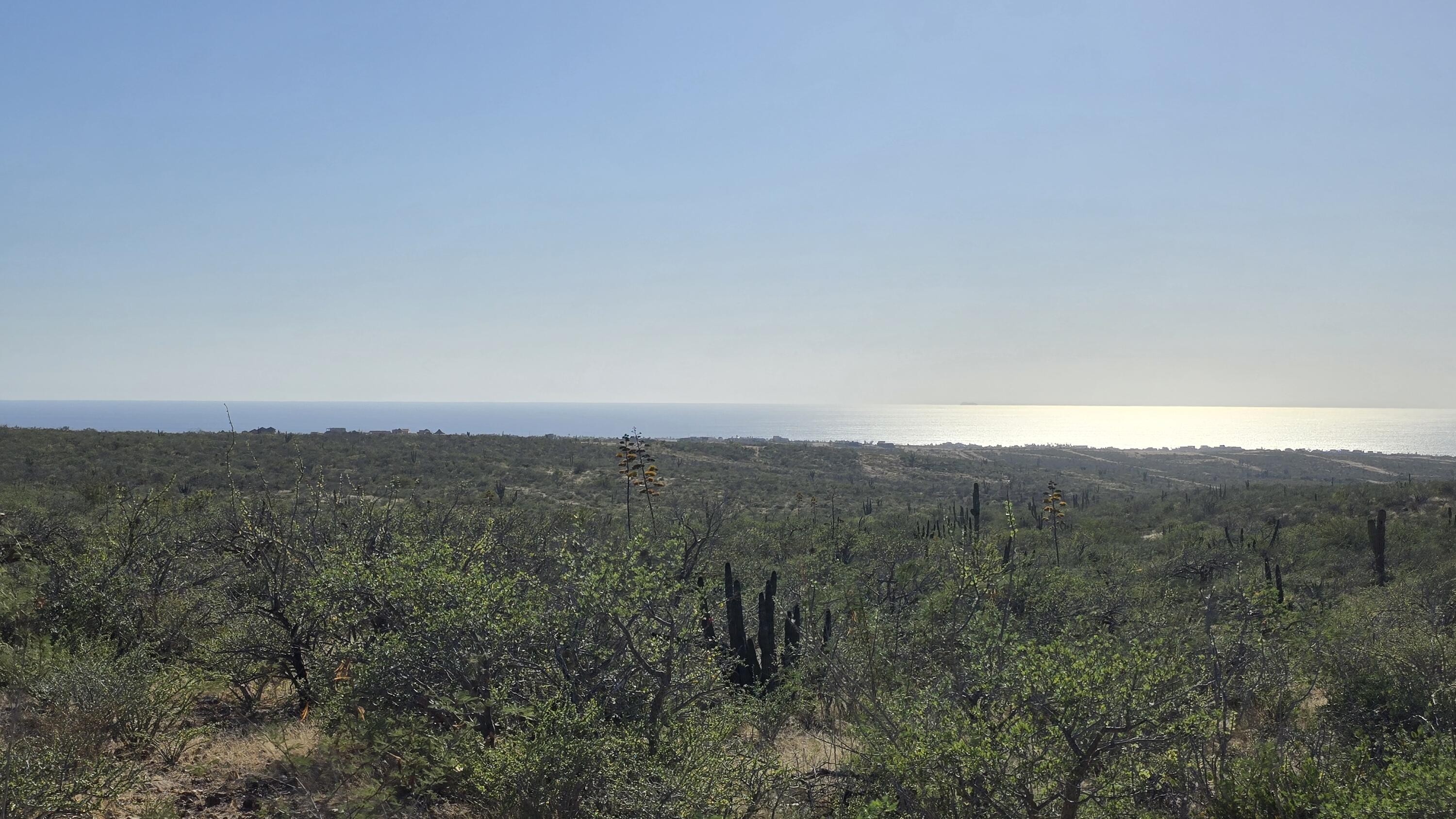 La Tinaja 003