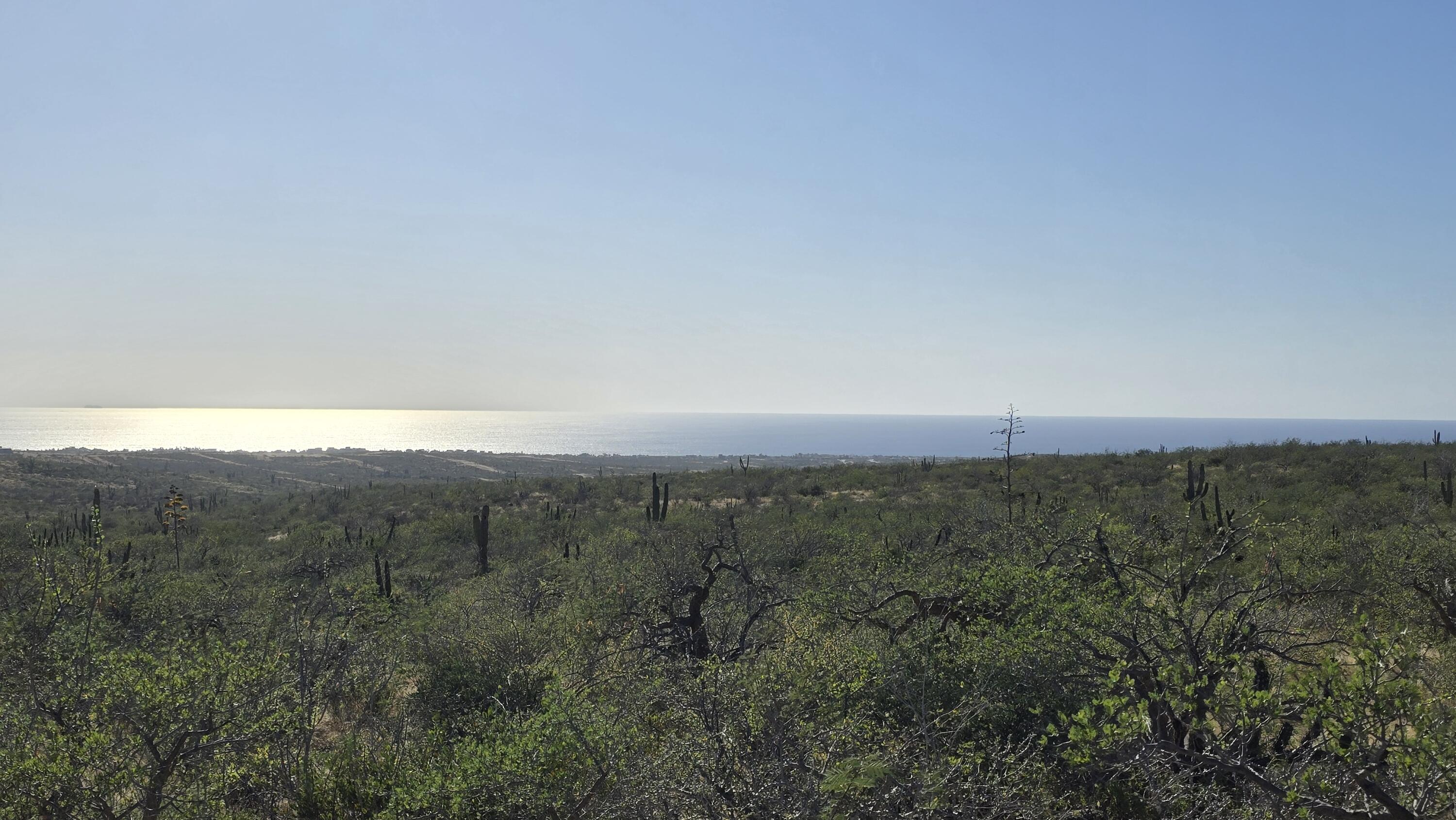 La Tinaja 003