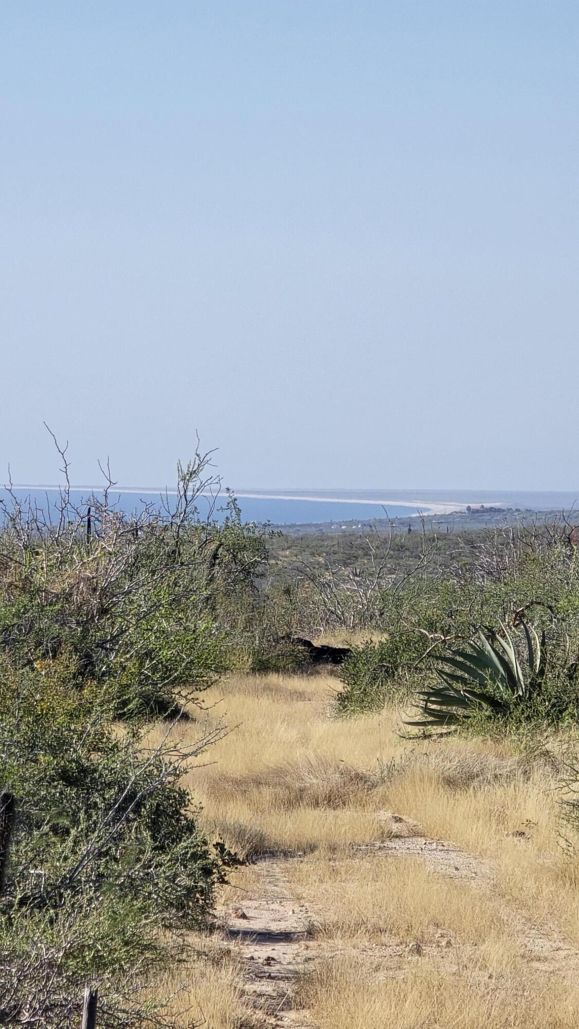 La Tinaja 003