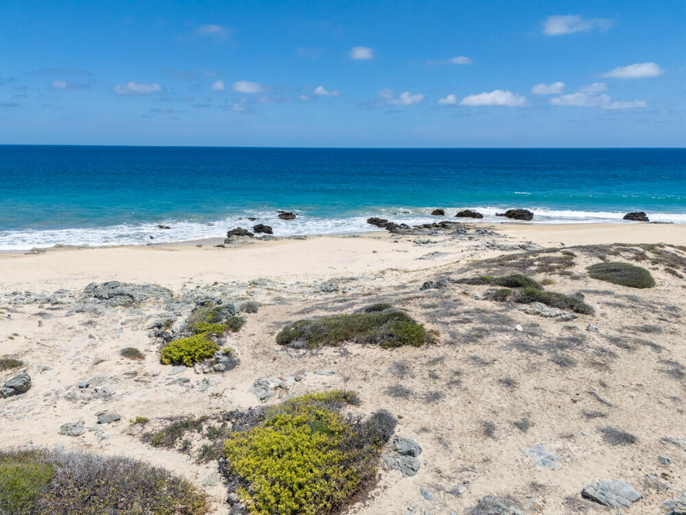 Costa de Oro Beachfront Lot108