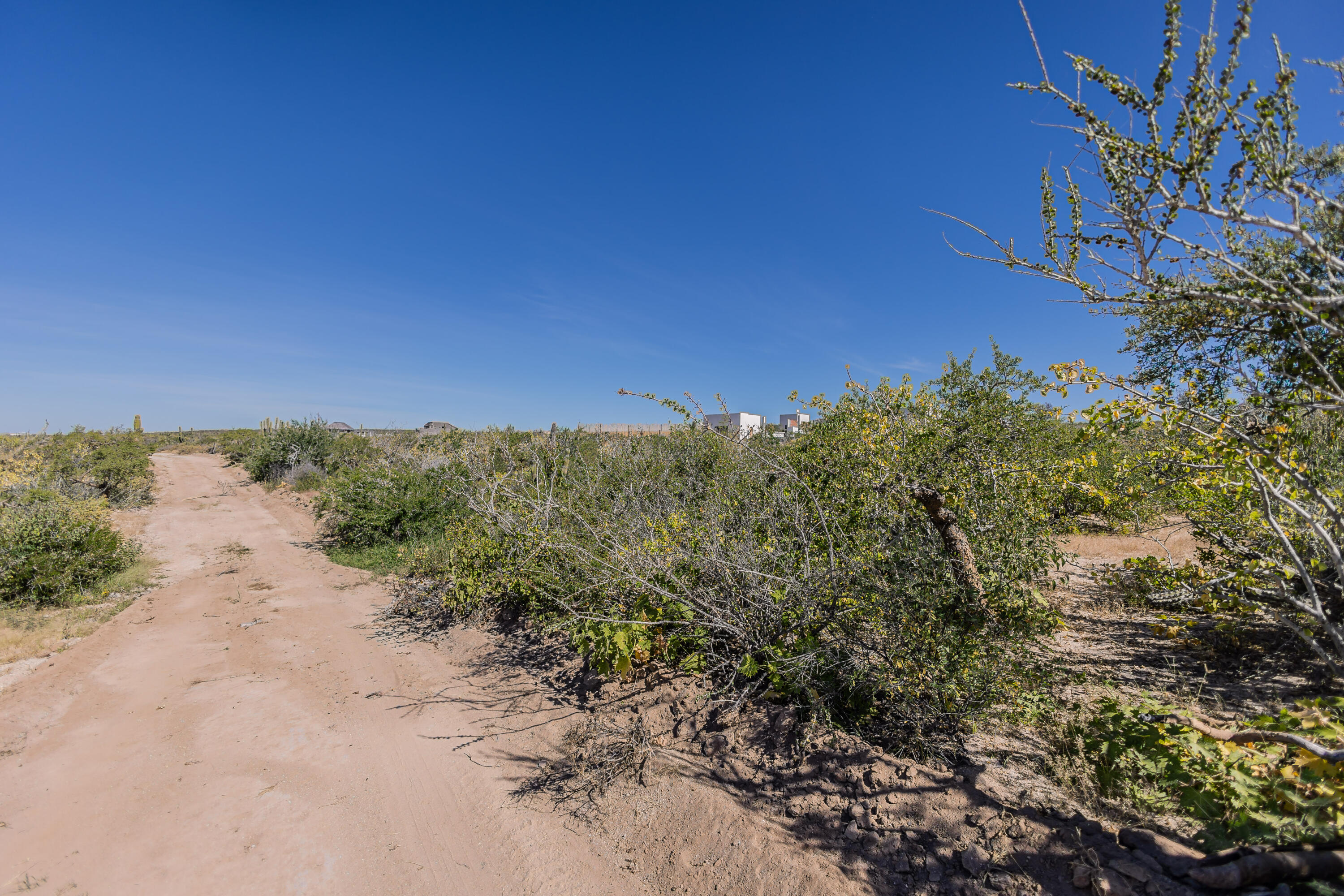 Sin nombre Lote 0600, Las Playitas Boca de la Muela