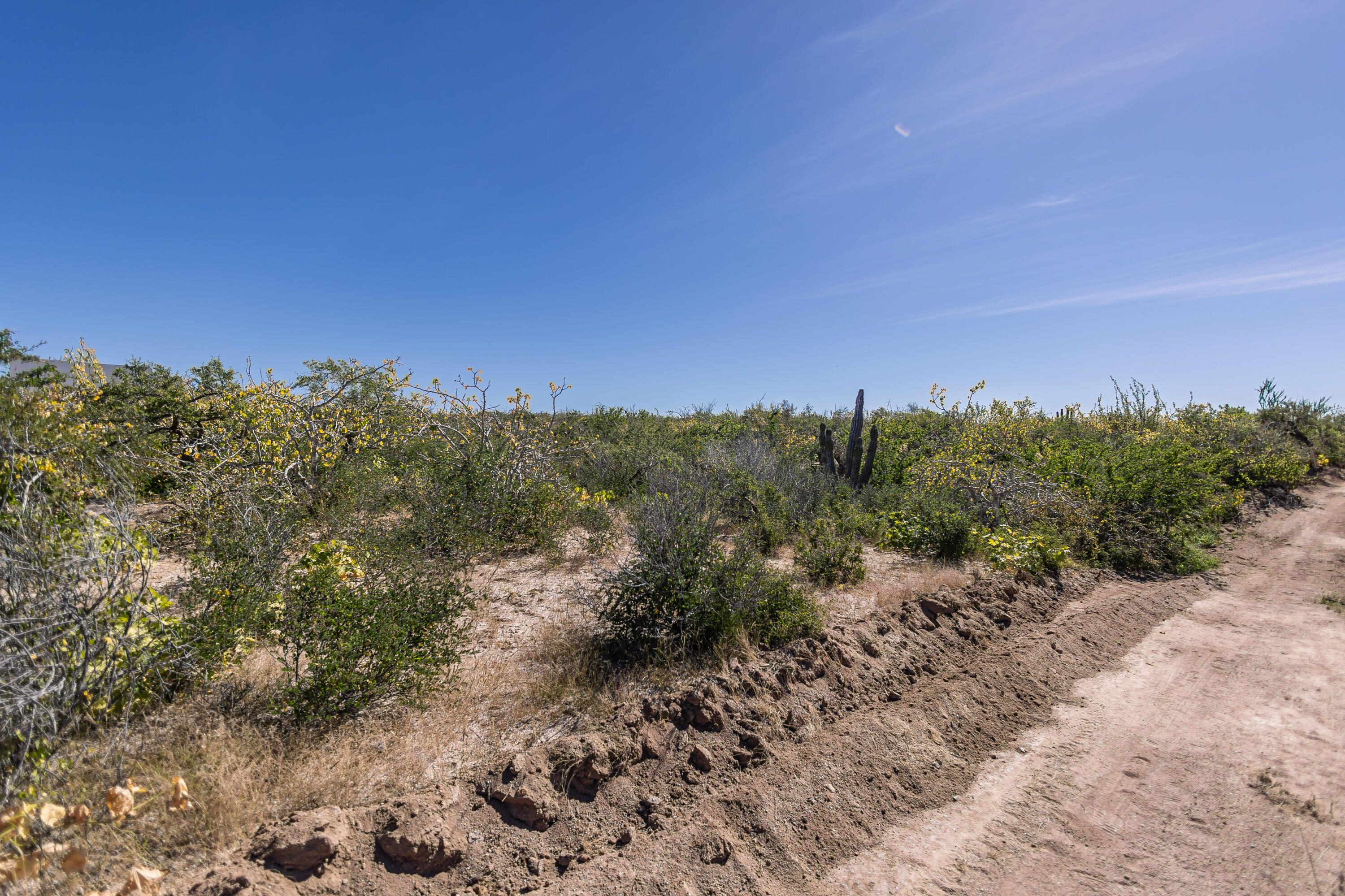 Sin nombre Lote 0600, Las Playitas Boca de la Muela